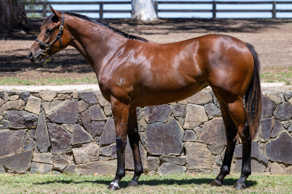 Lot 390: St Mark's Basilica (FR) / Tack