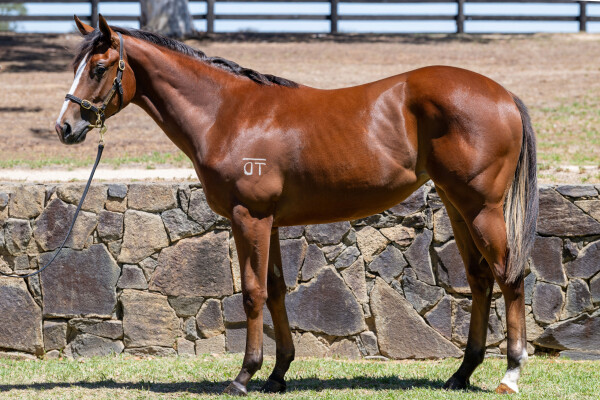 Lot 620: Daumier / Hatsuko