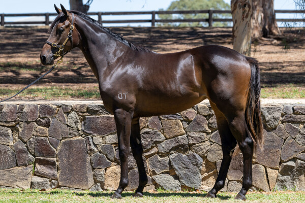 Lot 694: Daumier / Redeeming Spirit
