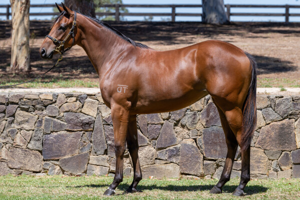 Lot 764: Daumier / Admission