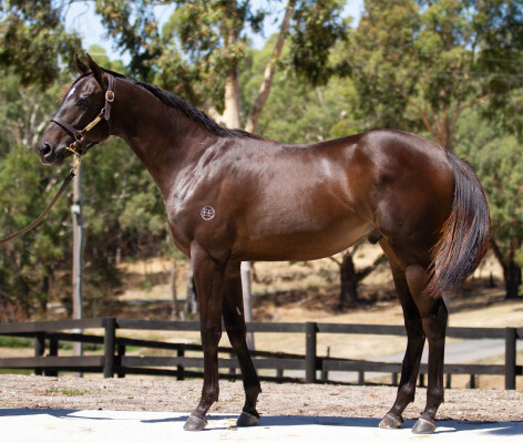 Lot 165: Shamus Award / Lifesaver Lady