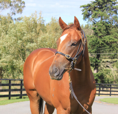 Lot 214: Written By / Mum's Fault