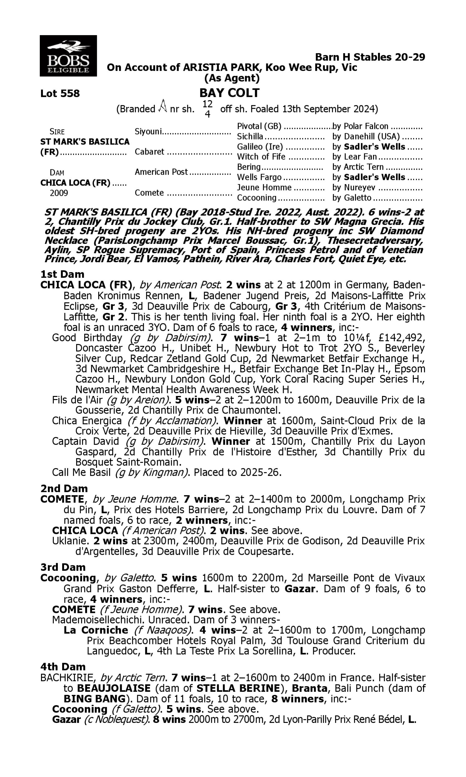 Pedigree for Lot 558 St Mark's Basilica (FR) - Chica Loca (FR)
