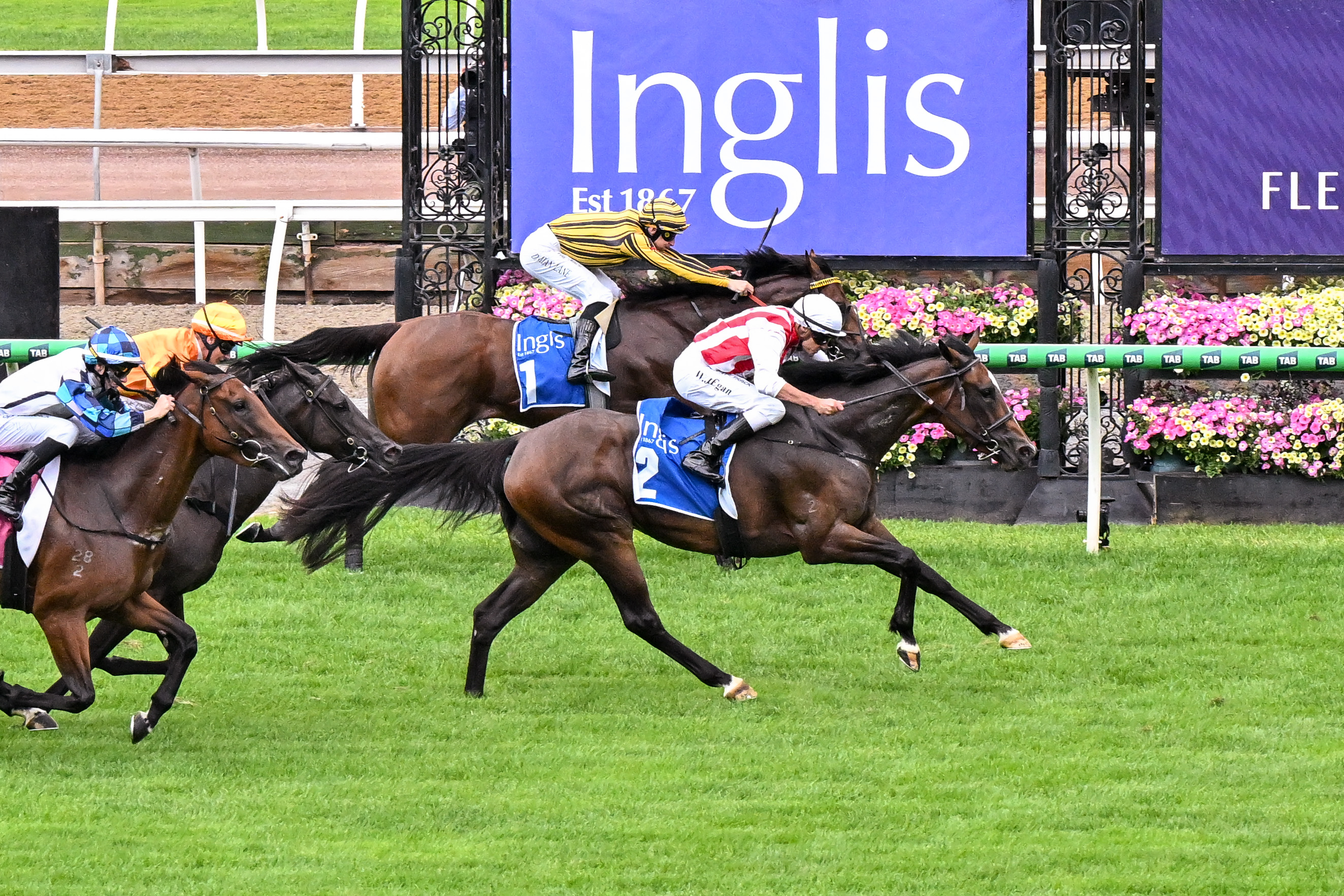 Exciting filly wins $1m Inglis Sprint
