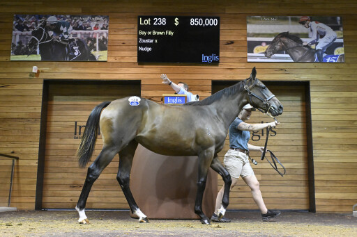 Zoustar filly tops boisterous opening day of Premier trade