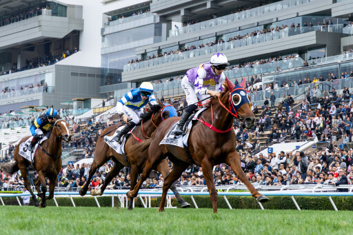 Stormy Grove too strong in Hong Kong Classic Cup