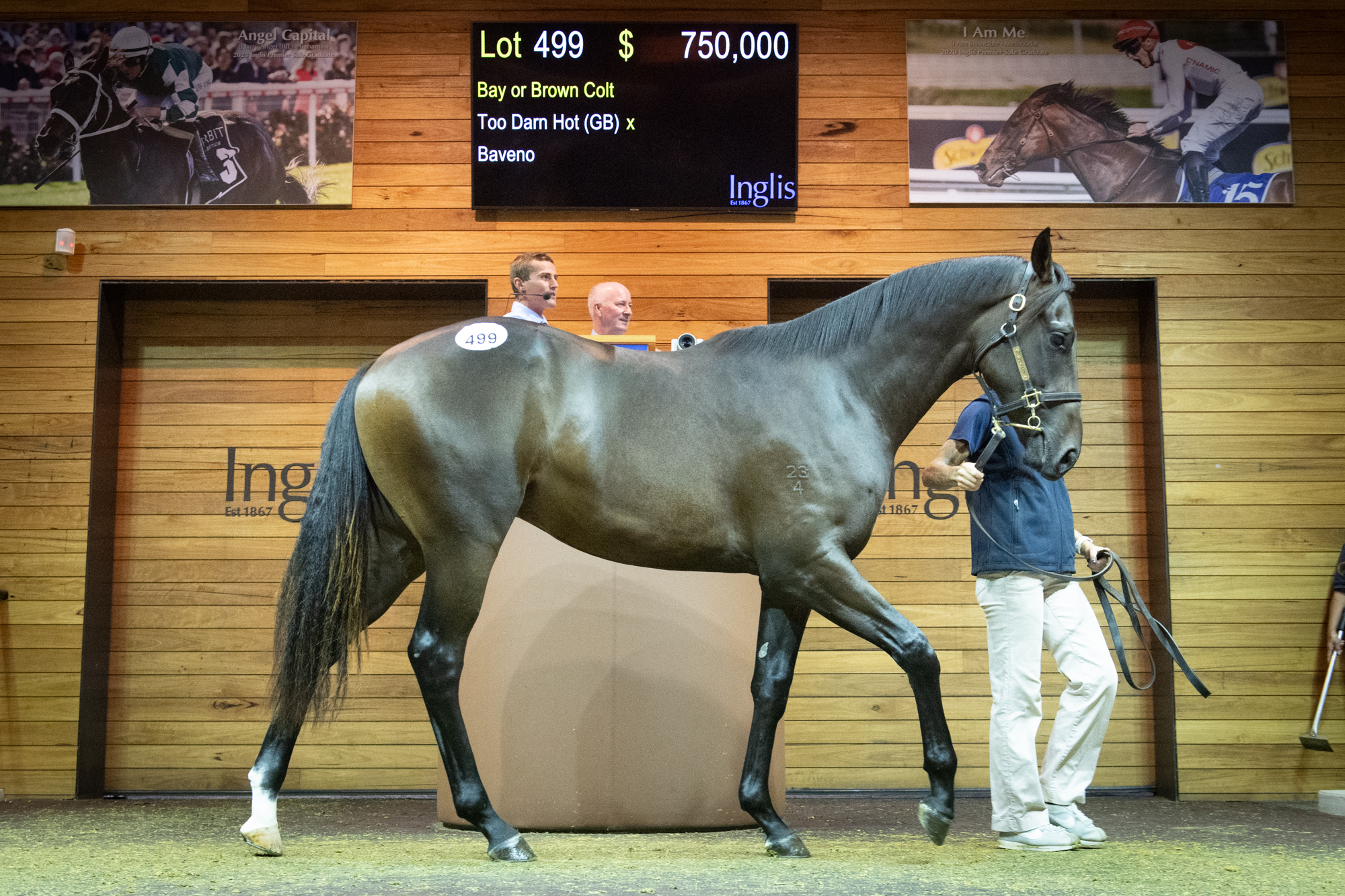 Gilgai stars as Premier surges