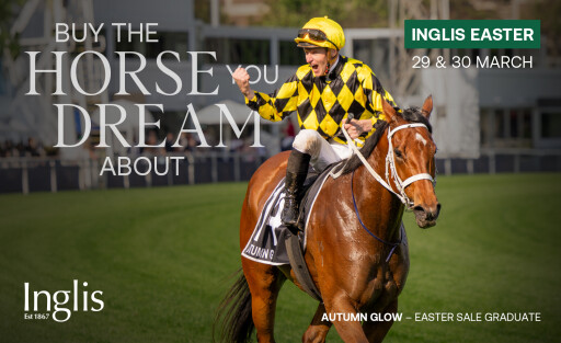 2026 Inglis Easter Yearling Sale