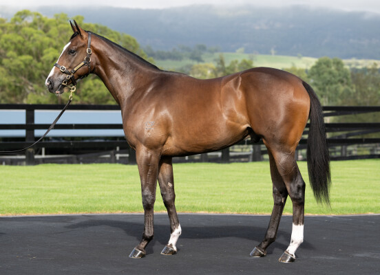 Lot 20: I Am Invincible / Pippie