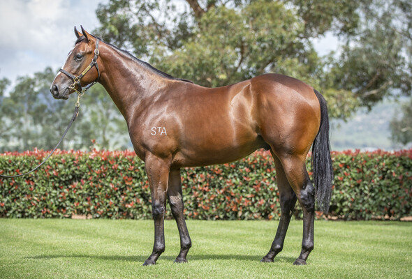 Lot 86: Stay Inside / She's So Special (USA)