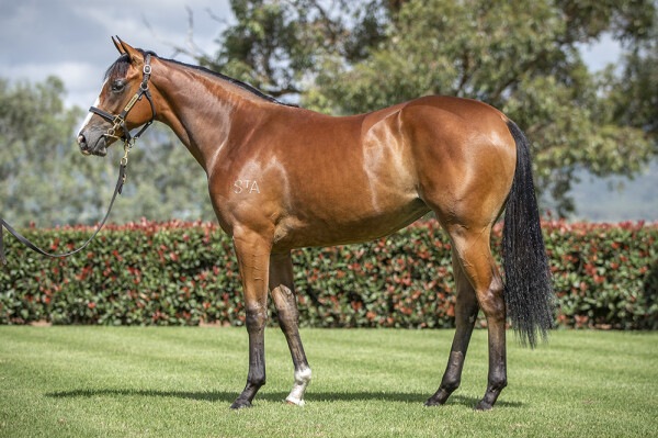 Lot 97: Stay Inside / Silent Surround