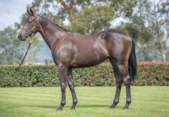 Lot 141: Too Darn Hot (GB) / Tears of Jupiter