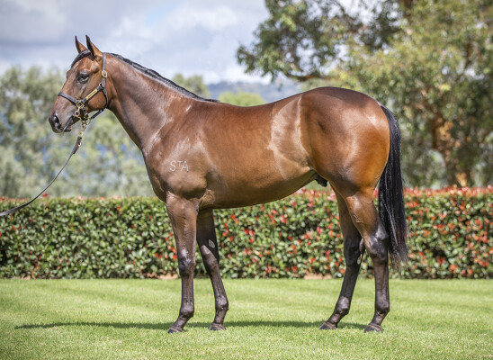 Lot 191: Wootton Bassett (GB) / Yes Baby Yes