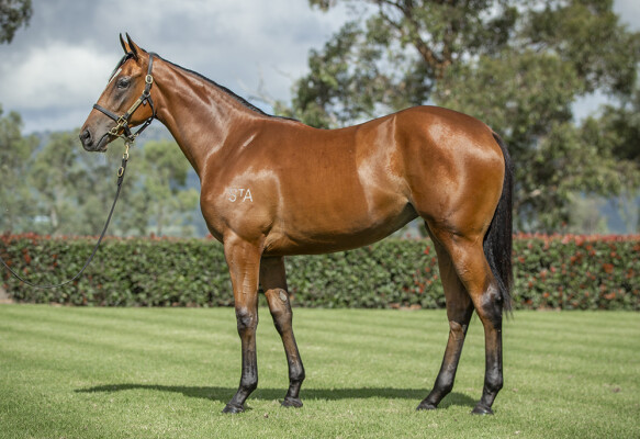 Lot 200: I Am Invincible / Abscond