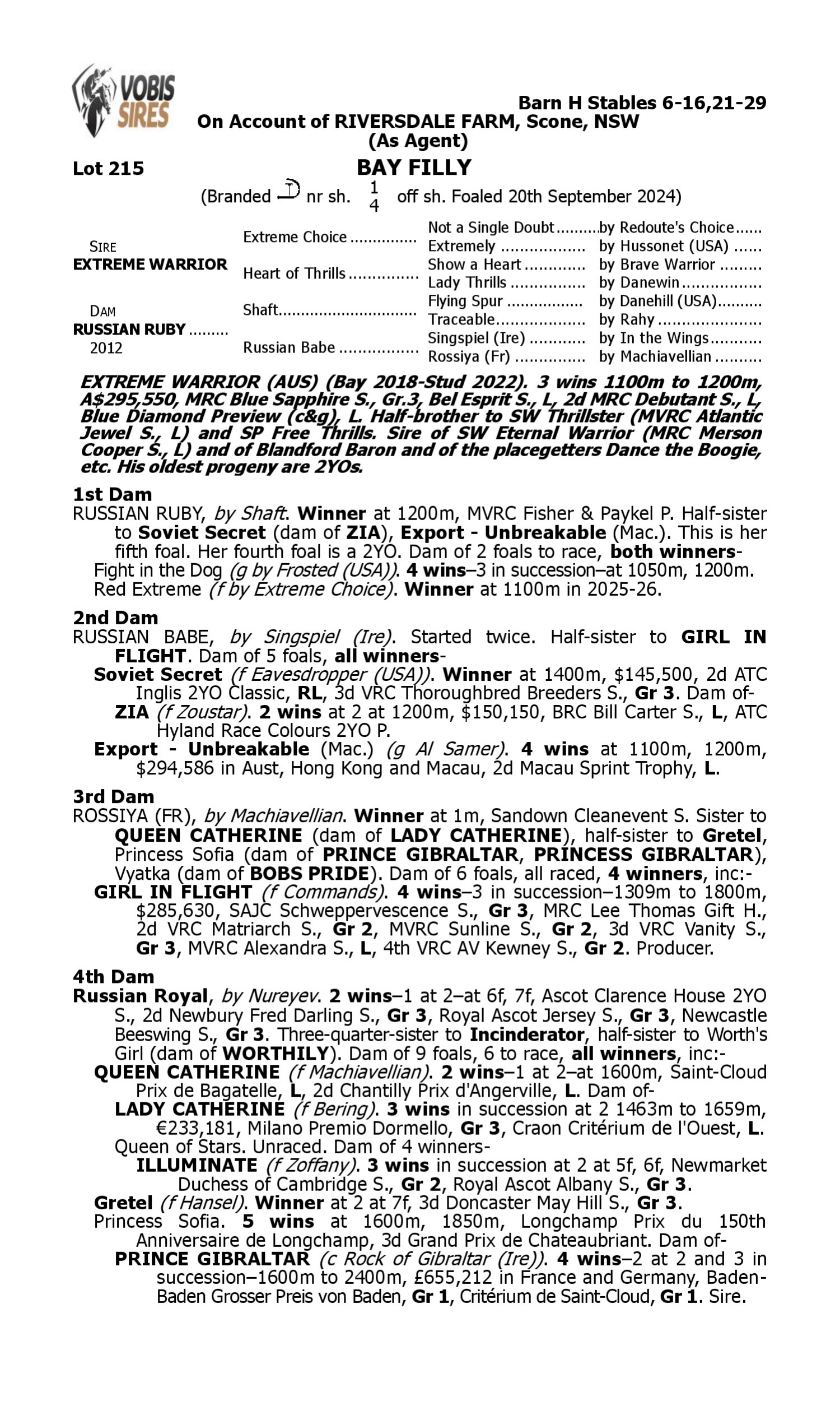 Pedigree for Lot 215 Extreme Warrior - Russian Ruby