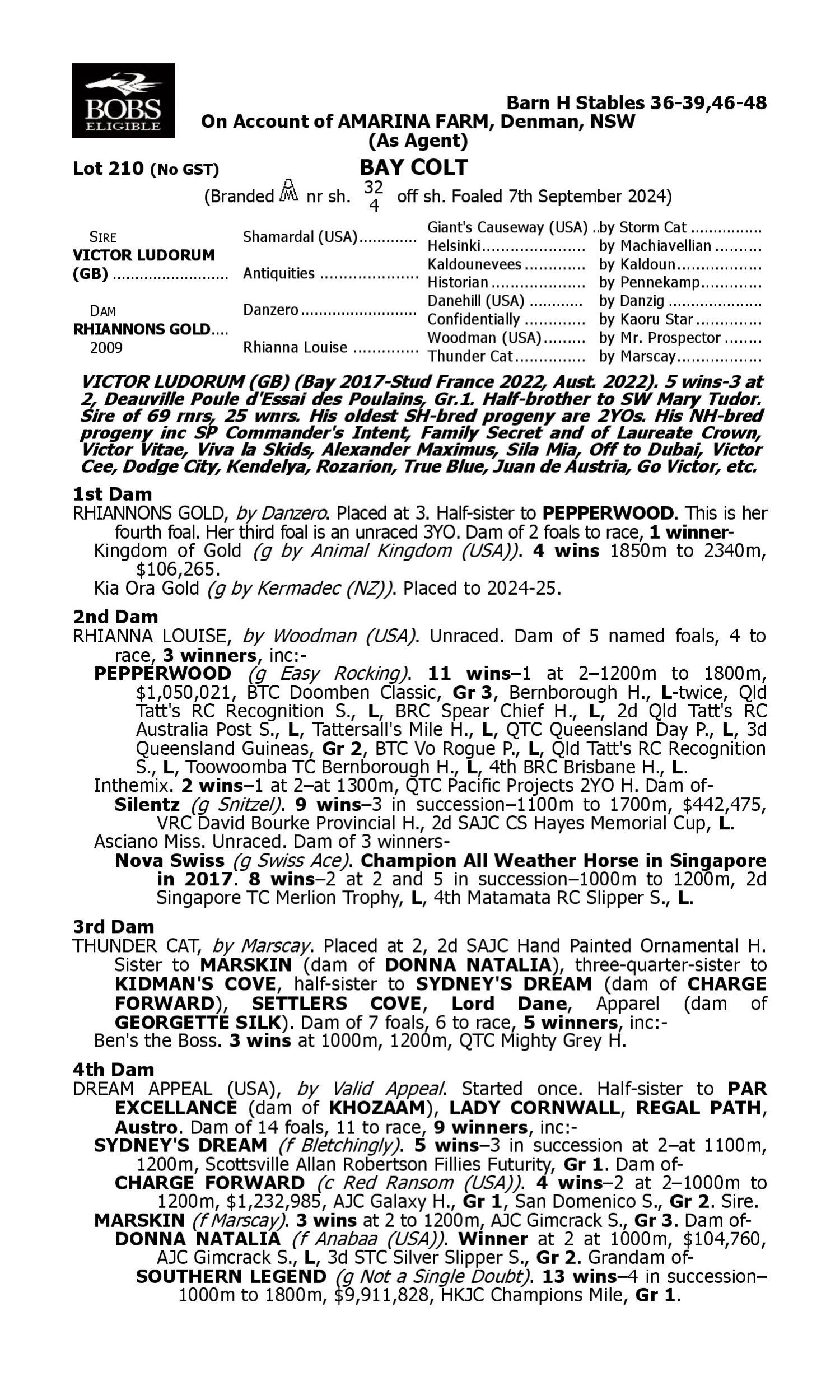 Pedigree for Lot 210 Victor Ludorum (GB) - Rhiannons Gold