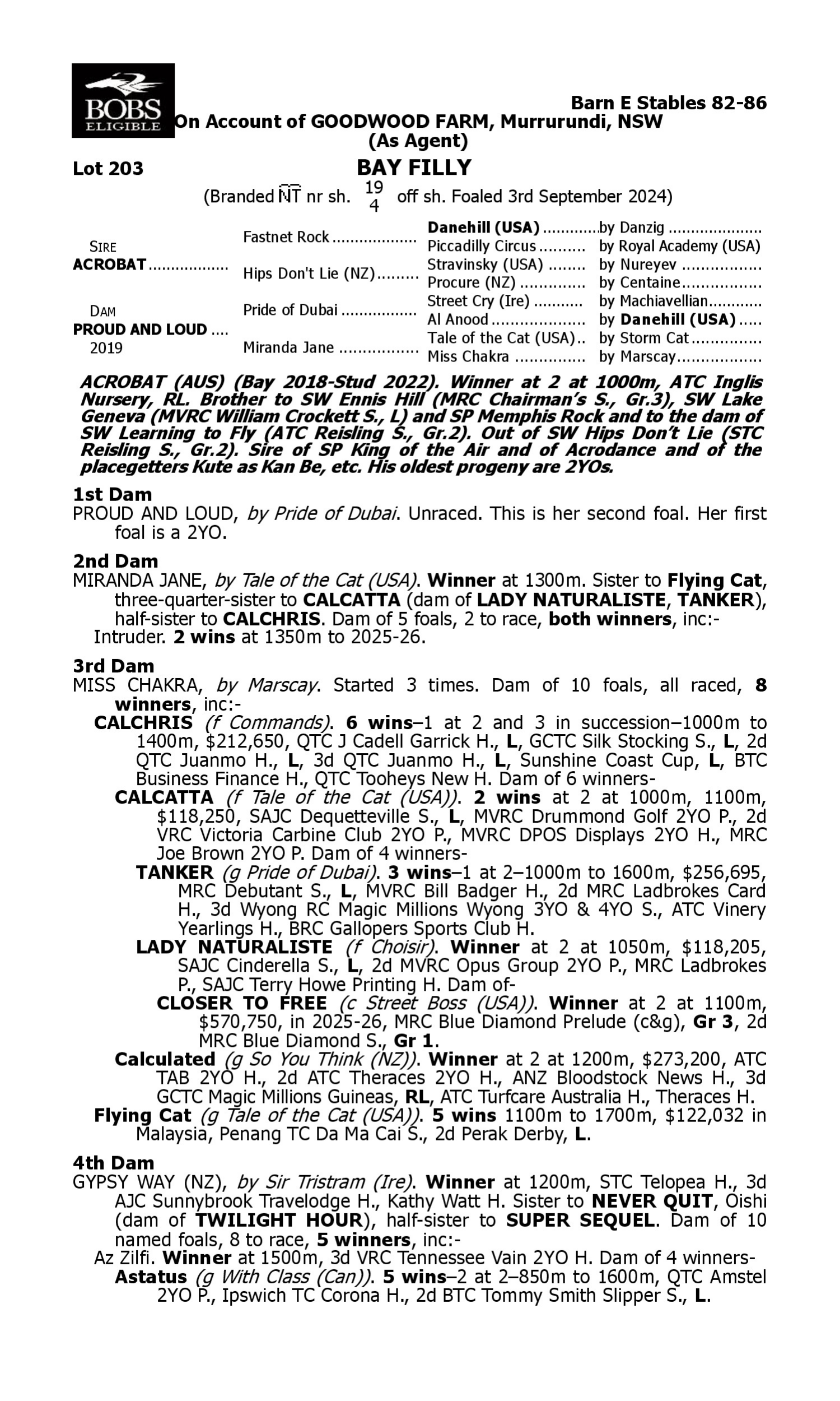 Pedigree for Lot 203 Acrobat - Proud and Loud