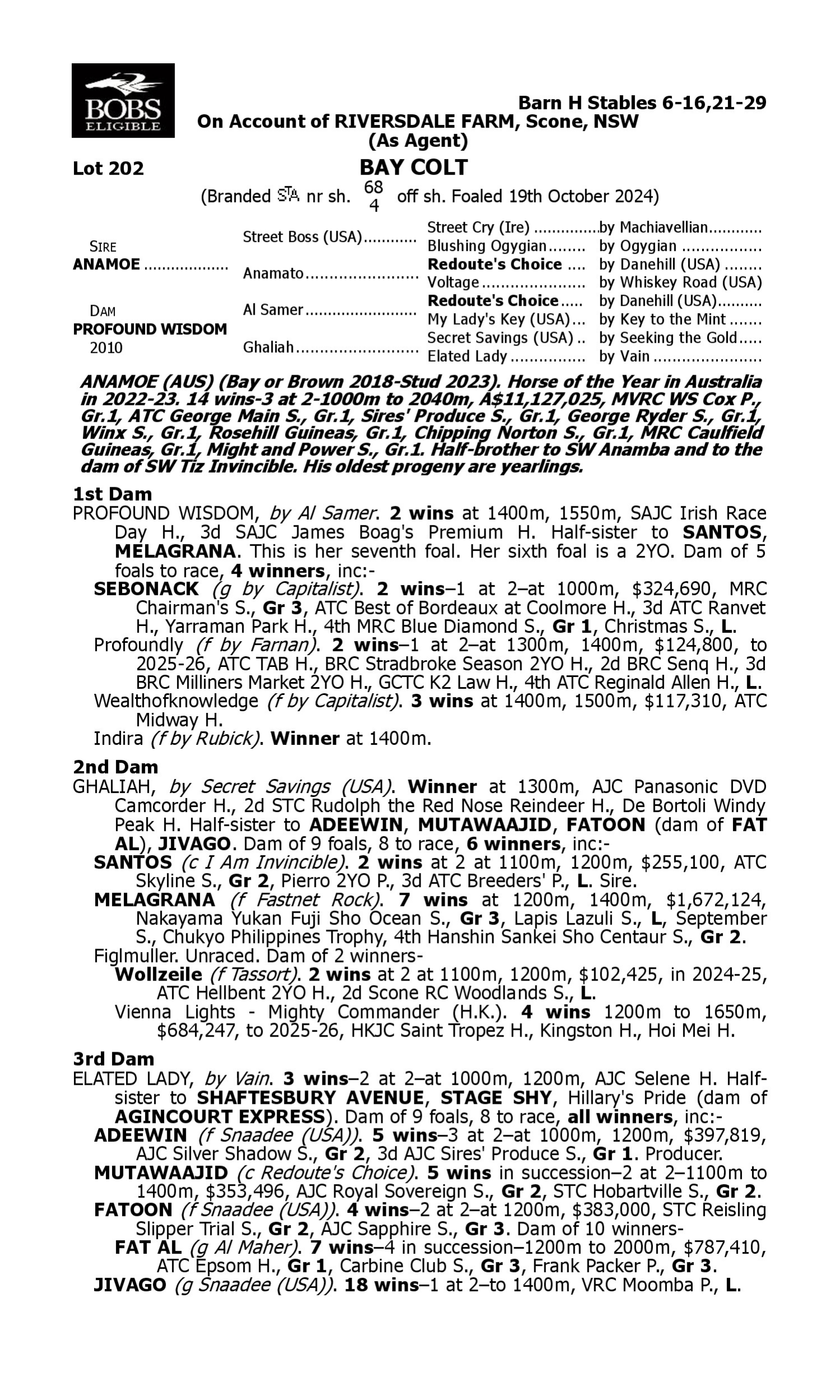 Pedigree for Lot 202 Anamoe - Profound Wisdom