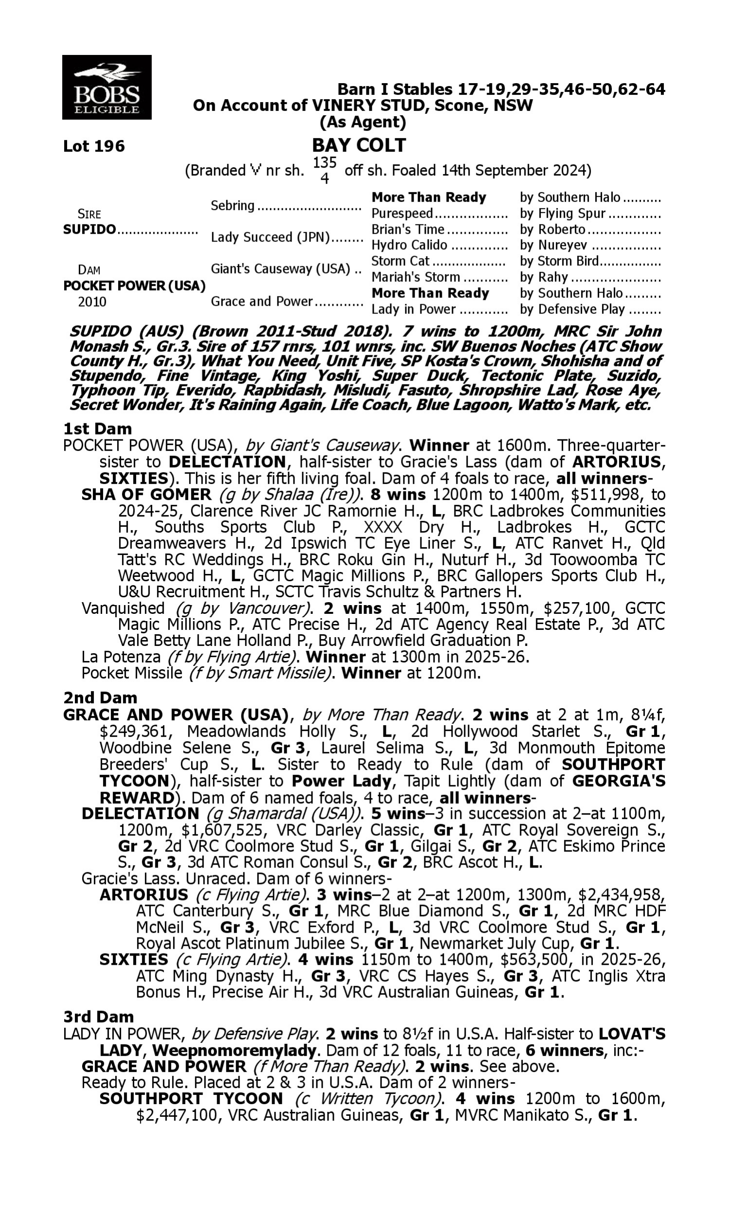 Pedigree for Lot 196 Supido - Pocket Power (USA)