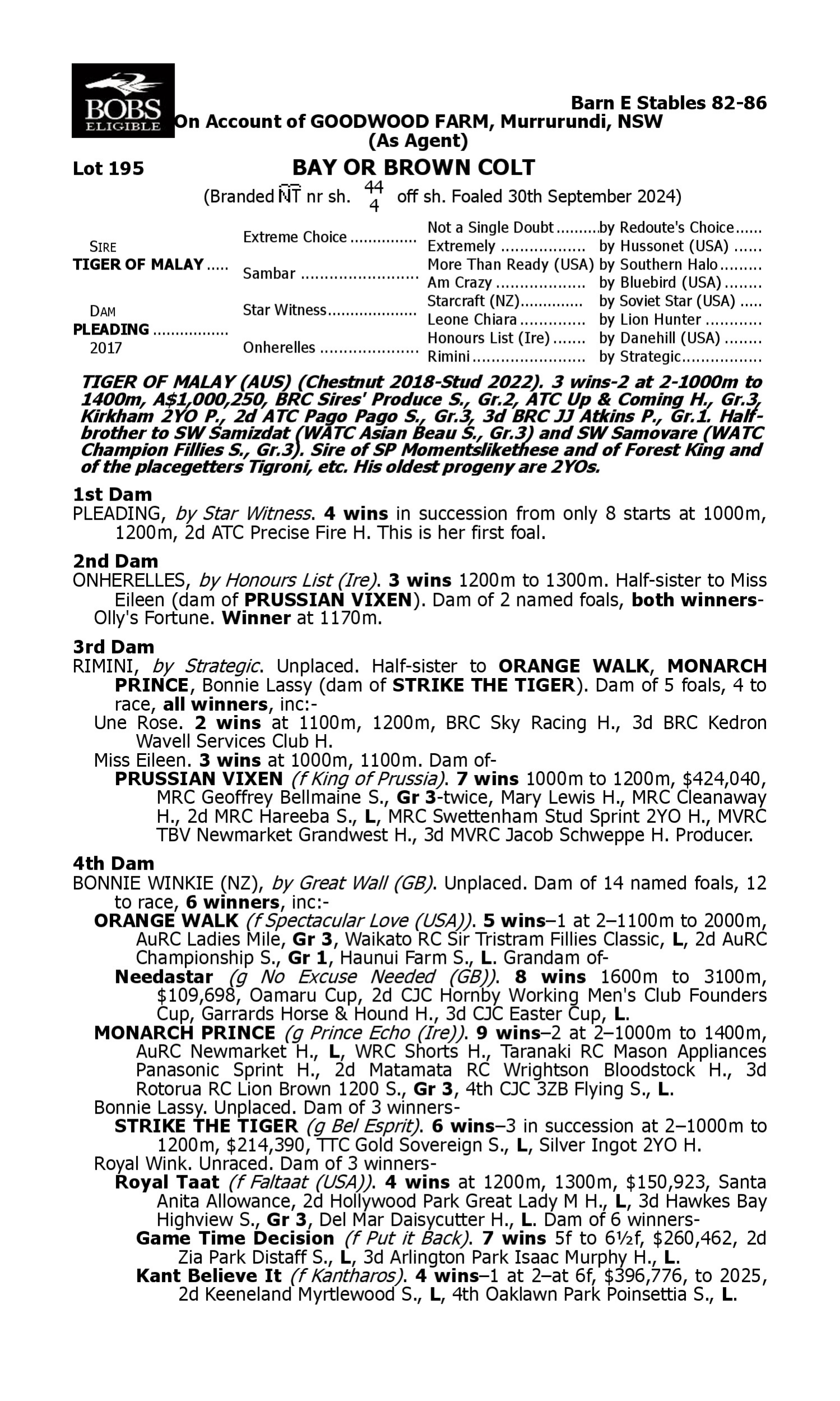 Pedigree for Lot 195 Tiger of Malay - Pleading