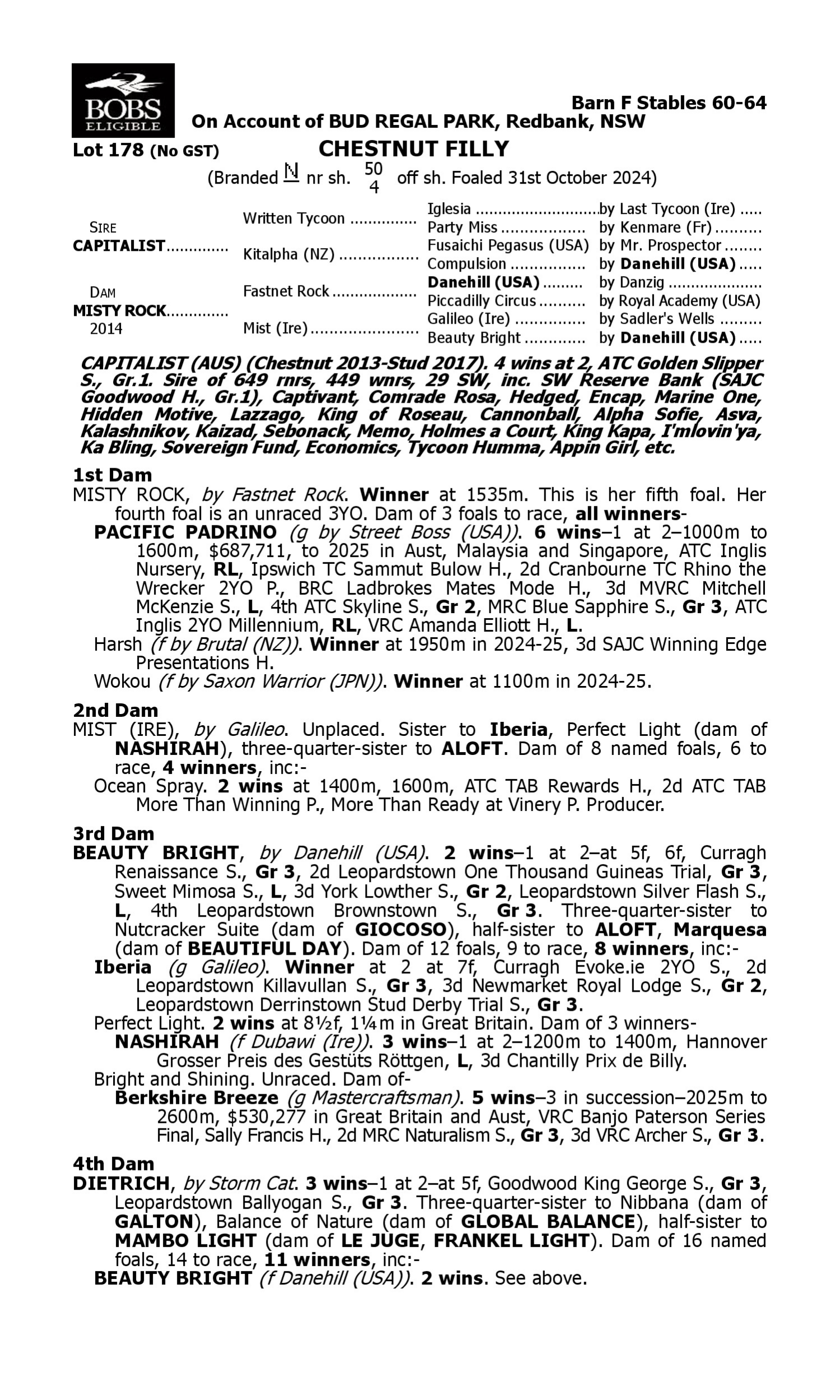 Pedigree for Lot 178 Capitalist - Misty Rock
