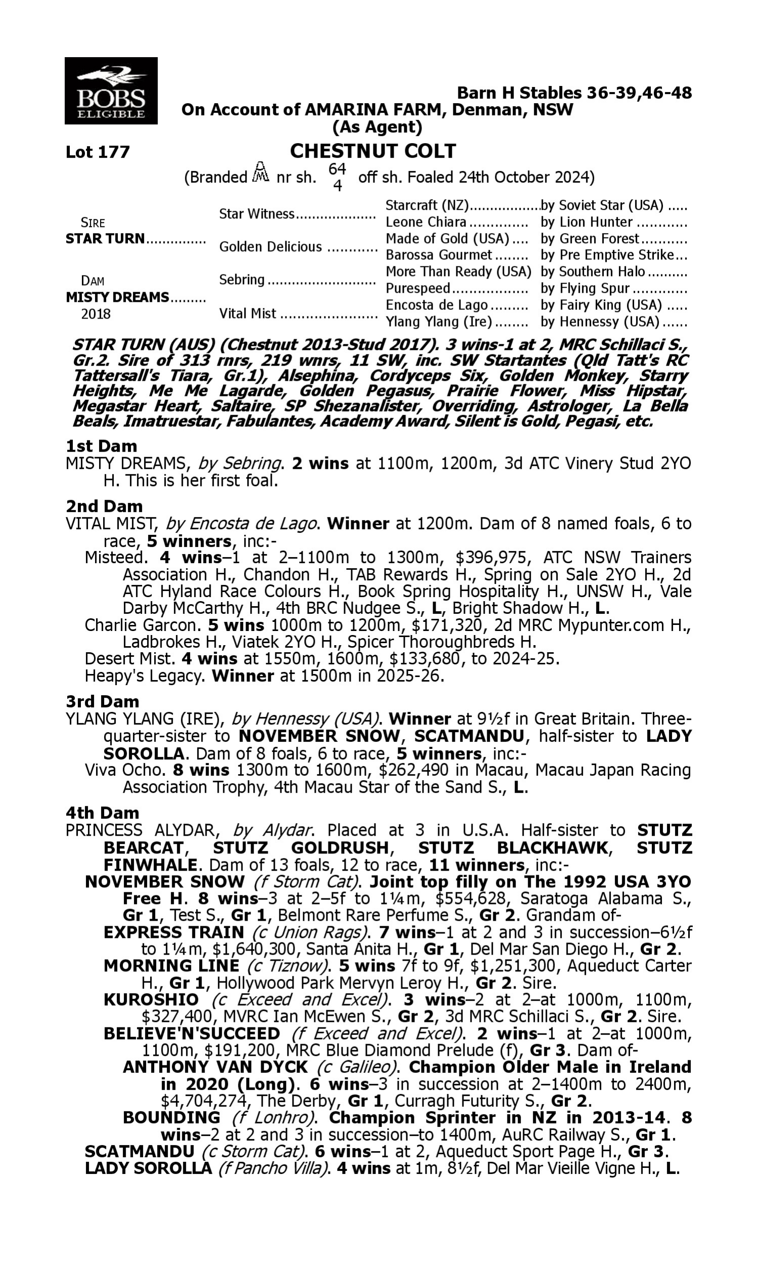 Pedigree for Lot 177 Star Turn - Misty Dreams
