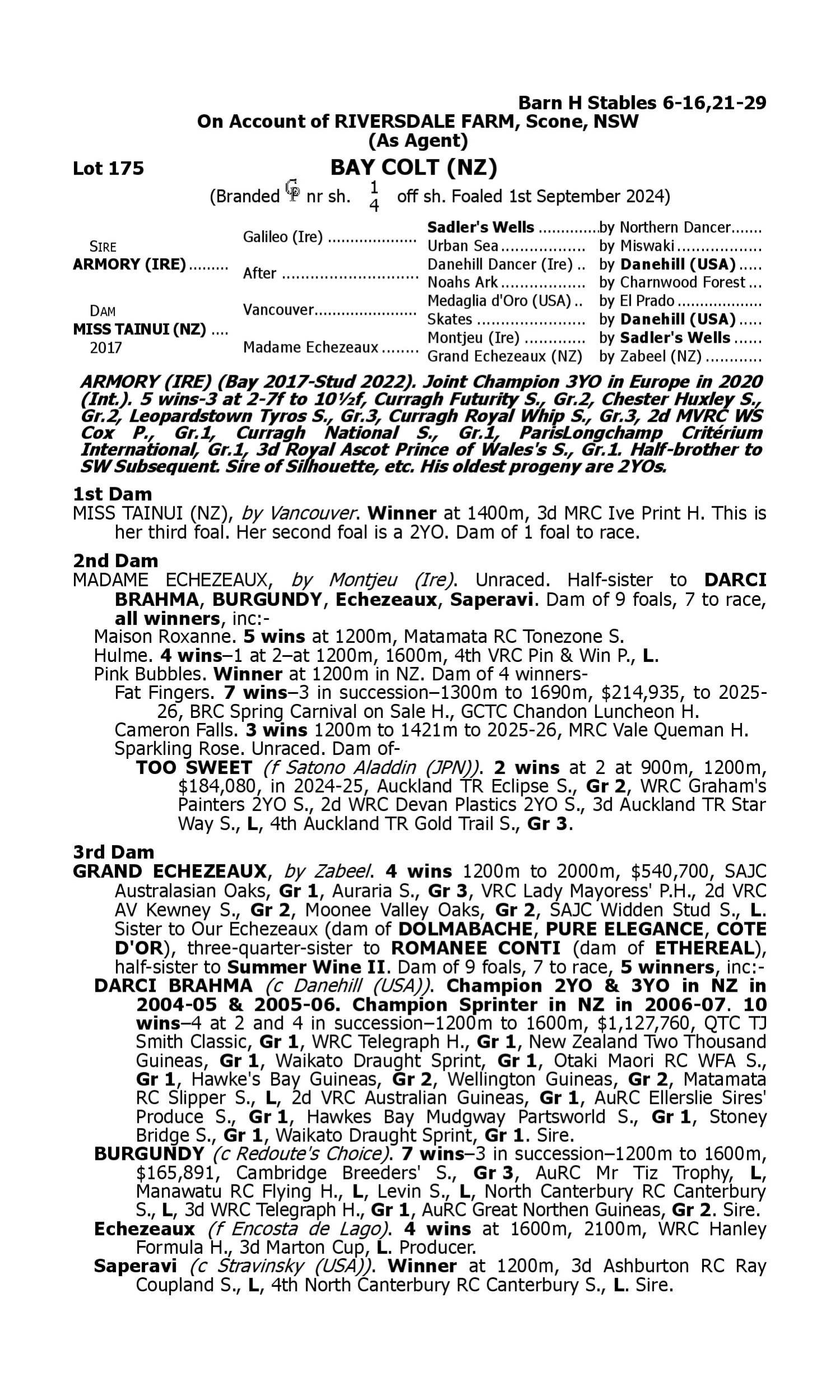 Pedigree for Lot 175 Armory (IRE) - Miss Tainui (NZ)