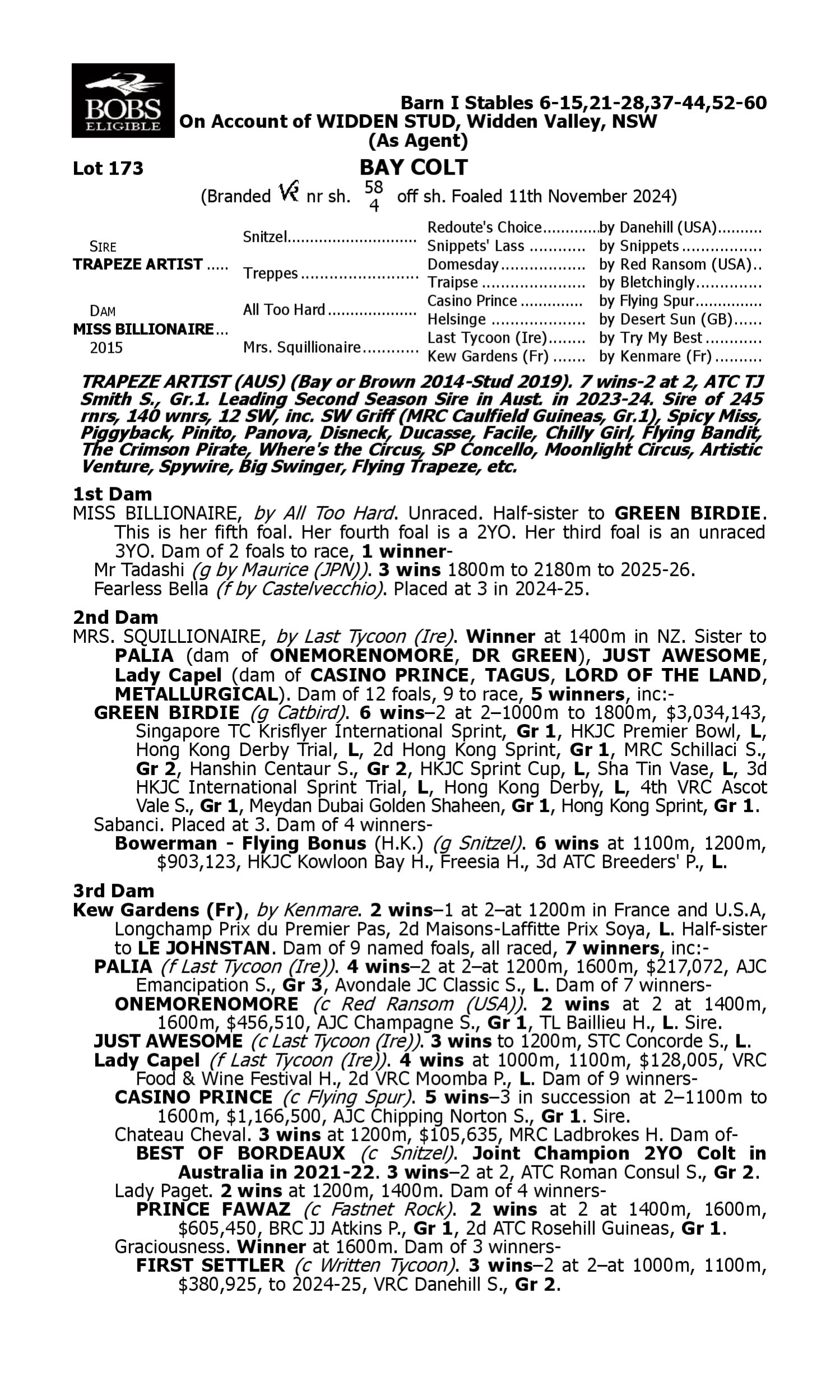 Pedigree for Lot 173 Trapeze Artist - Miss Billionaire