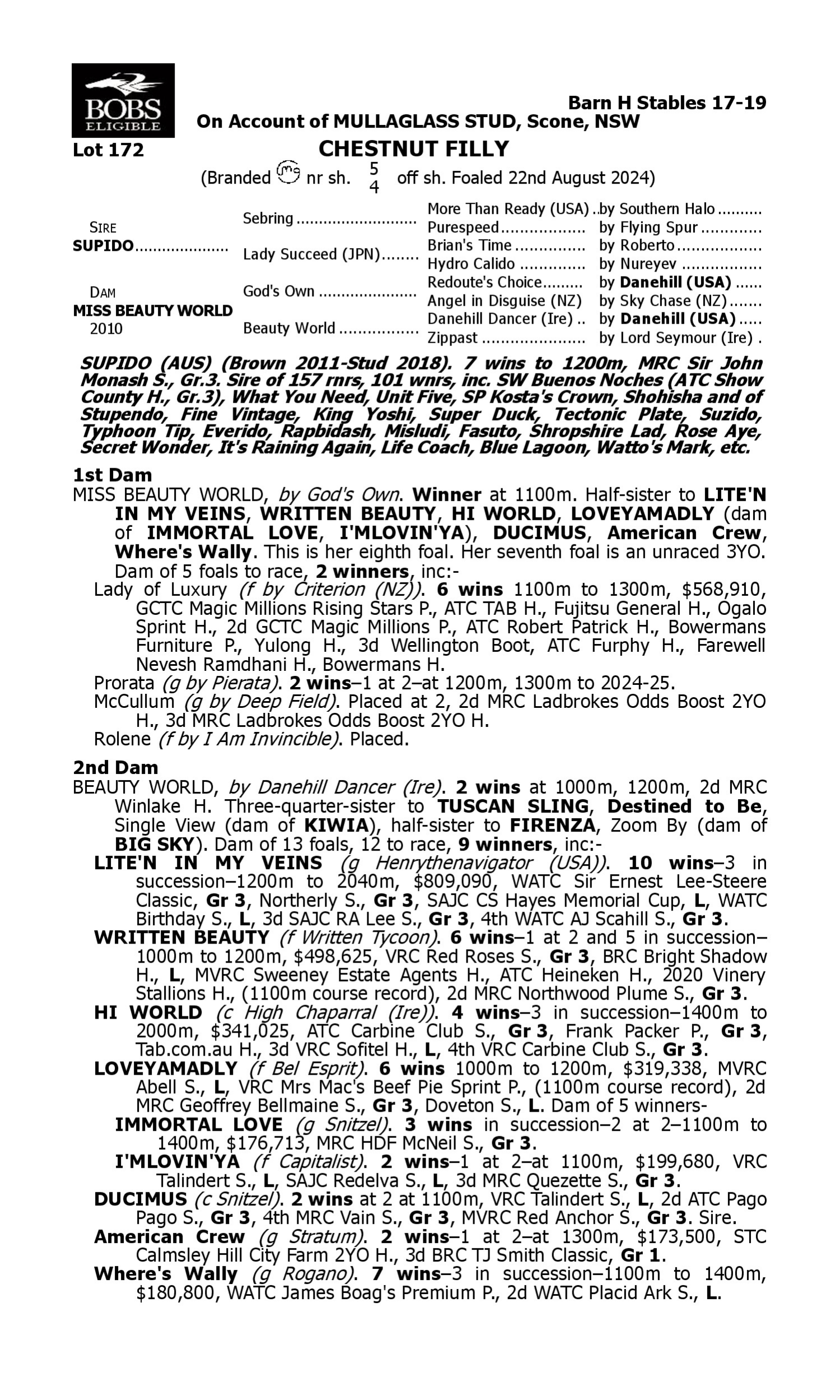 Pedigree for Lot 172 Supido - Miss Beauty World