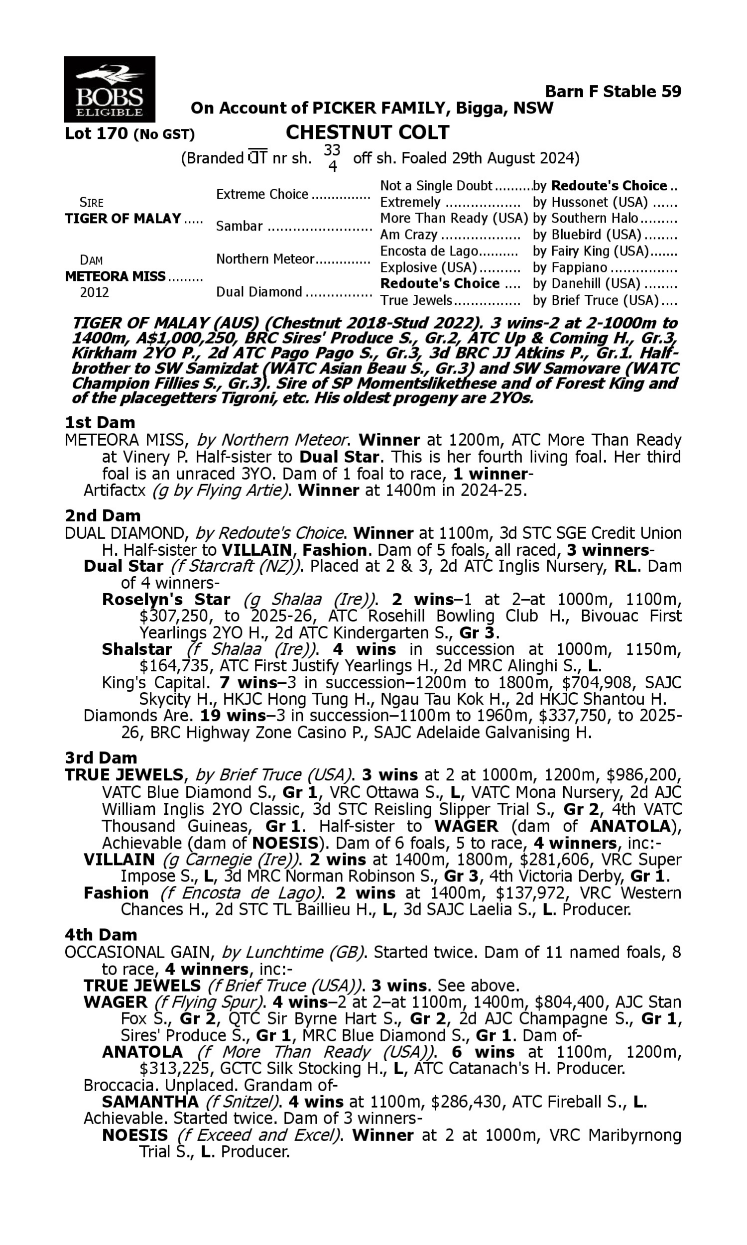 Pedigree for Lot 170 Tiger of Malay - Meteora Miss