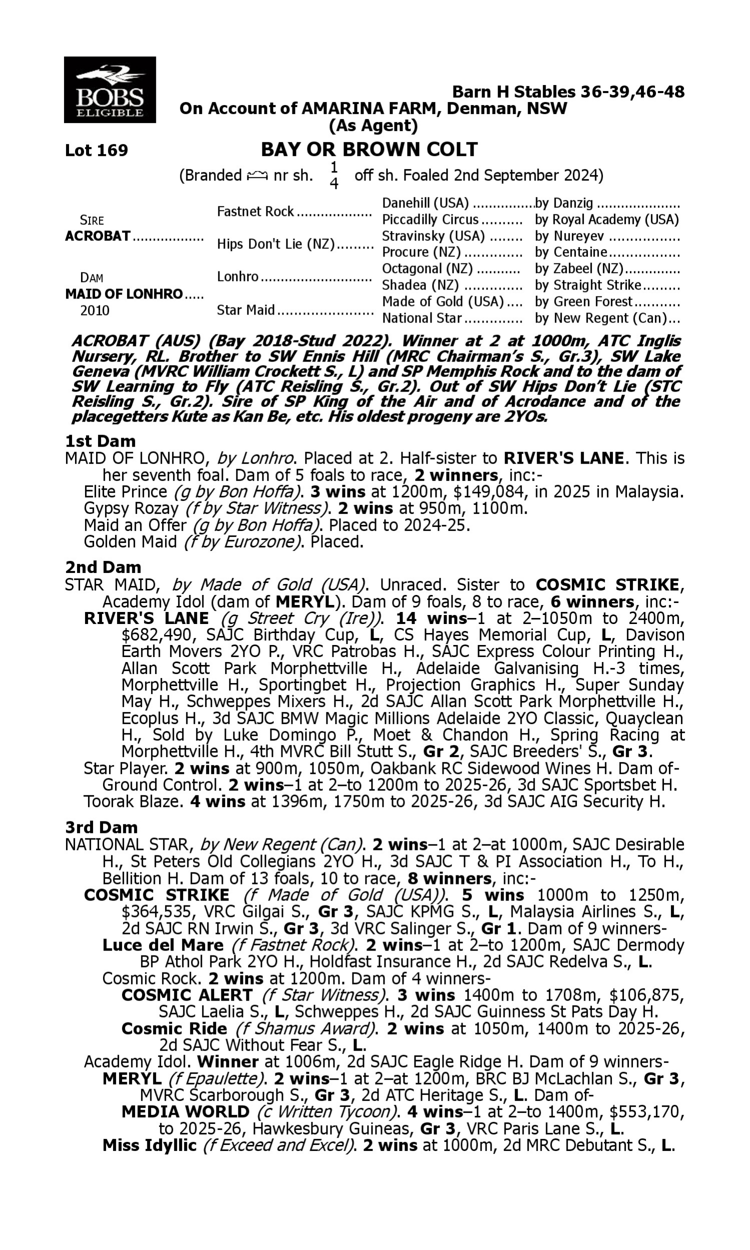 Pedigree for Lot 169 Acrobat - Maid of Lonhro