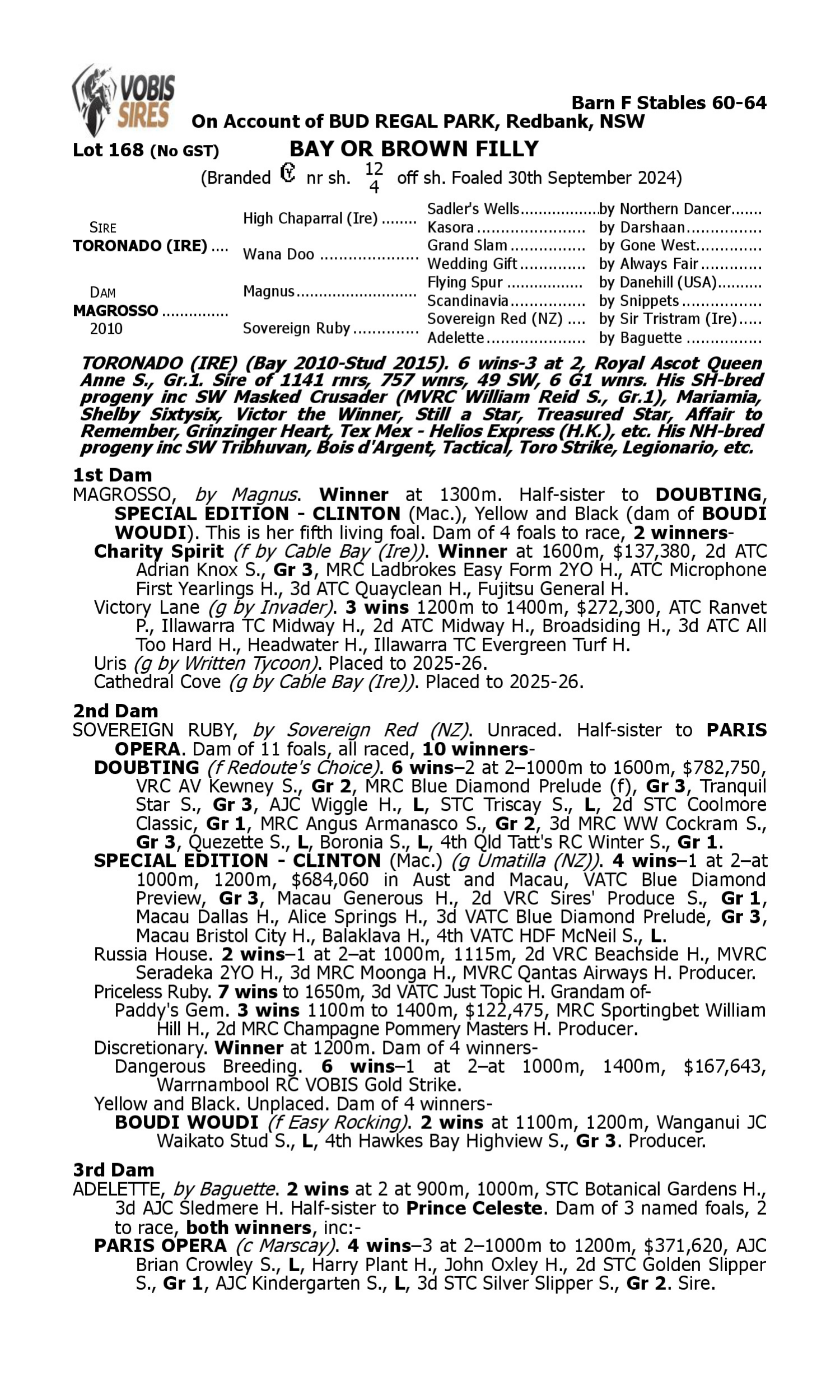 Pedigree for Lot 168 Toronado (IRE) - Magrosso