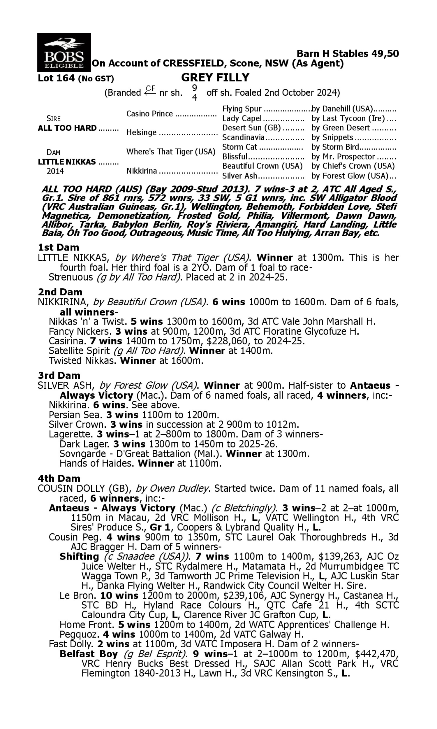 Pedigree for Lot 164 All Too Hard - Little Nikkas