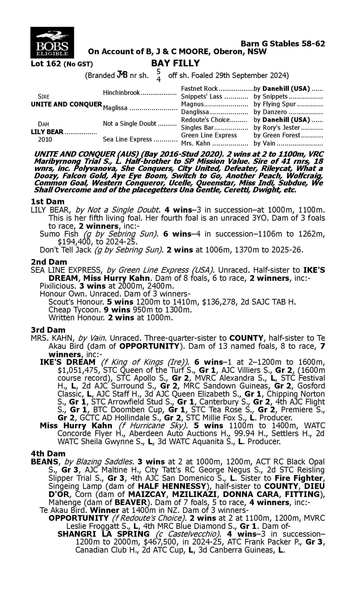 Pedigree for Lot 162 Unite and Conquer - Lily Bear