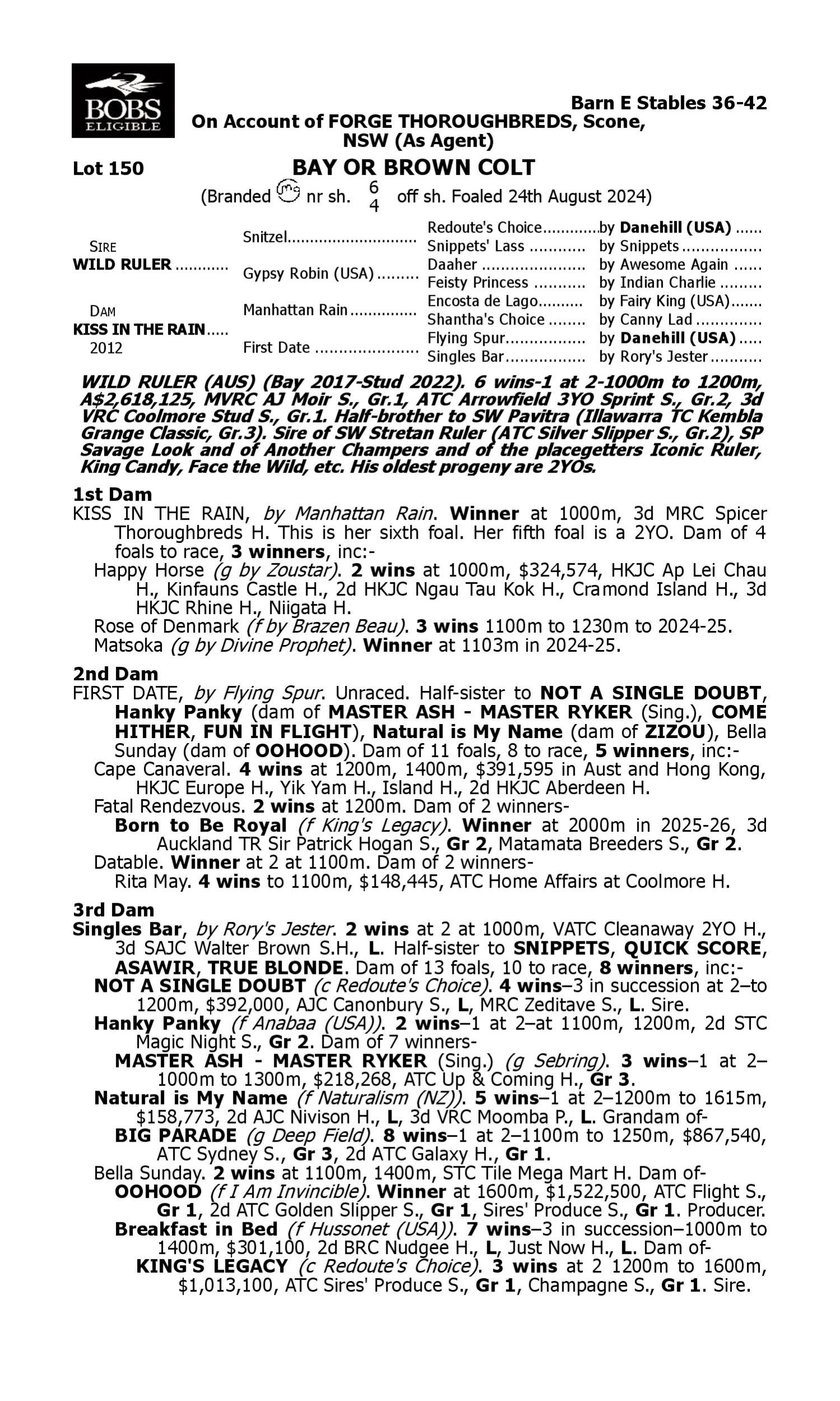 Pedigree for Lot 150 Wild Ruler - Kiss in the Rain