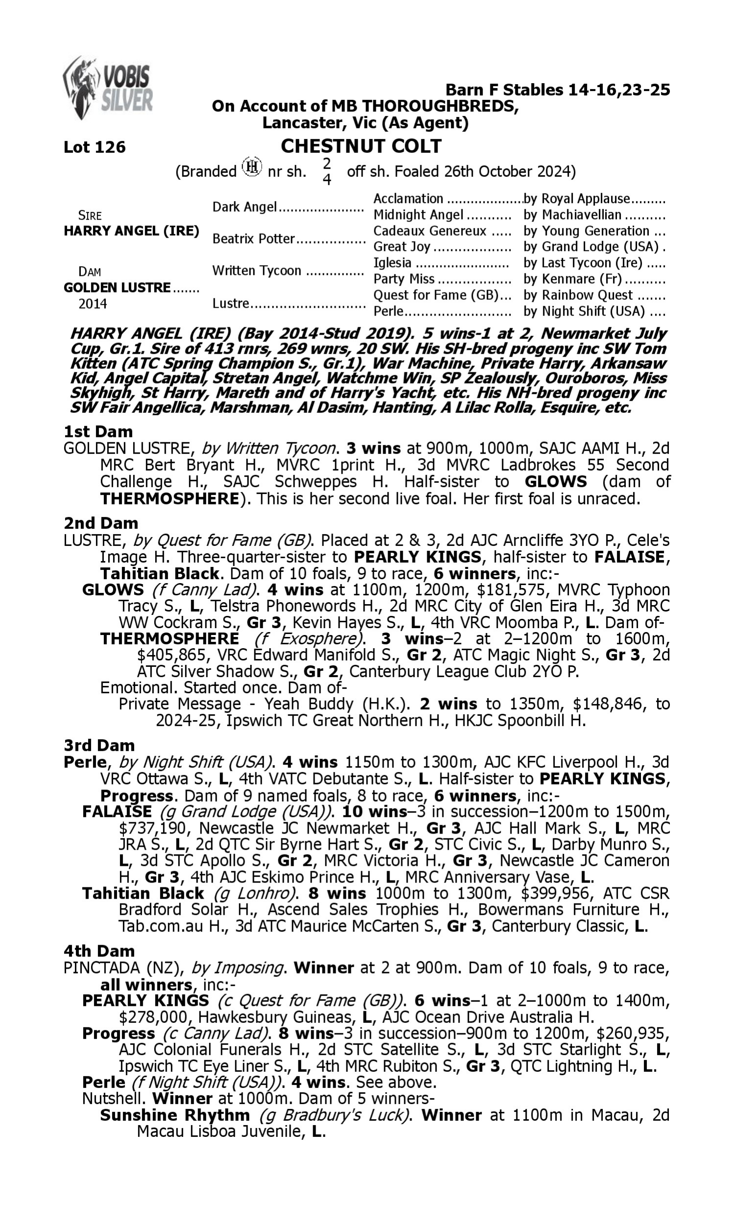 Pedigree for Lot 126 Harry Angel (IRE) - Golden Lustre