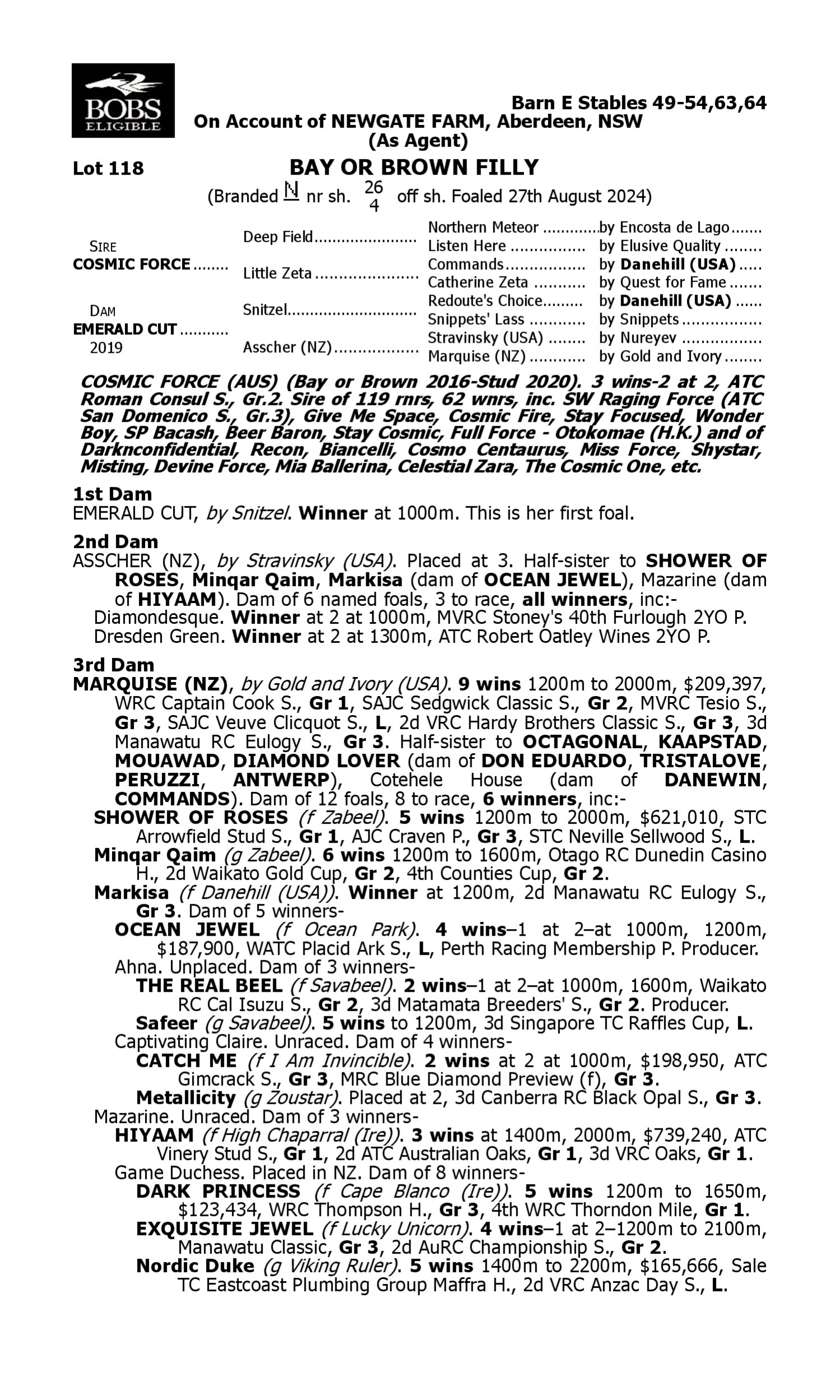 Pedigree for Lot 118 Cosmic Force - Emerald Cut