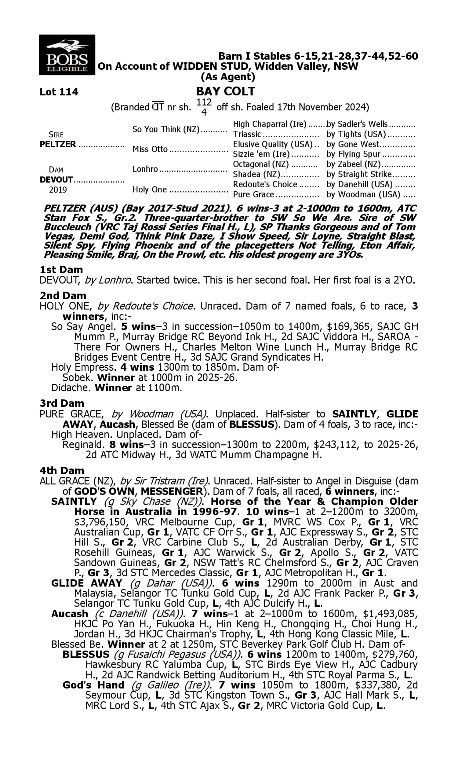 Pedigree for Lot 114 Peltzer - Devout