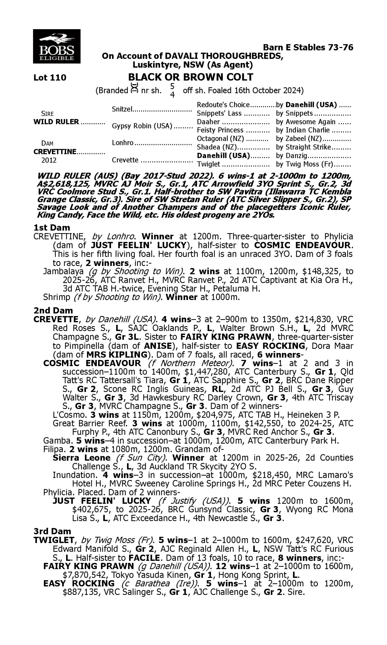 Pedigree for Lot 110 Wild Ruler - Crevettine