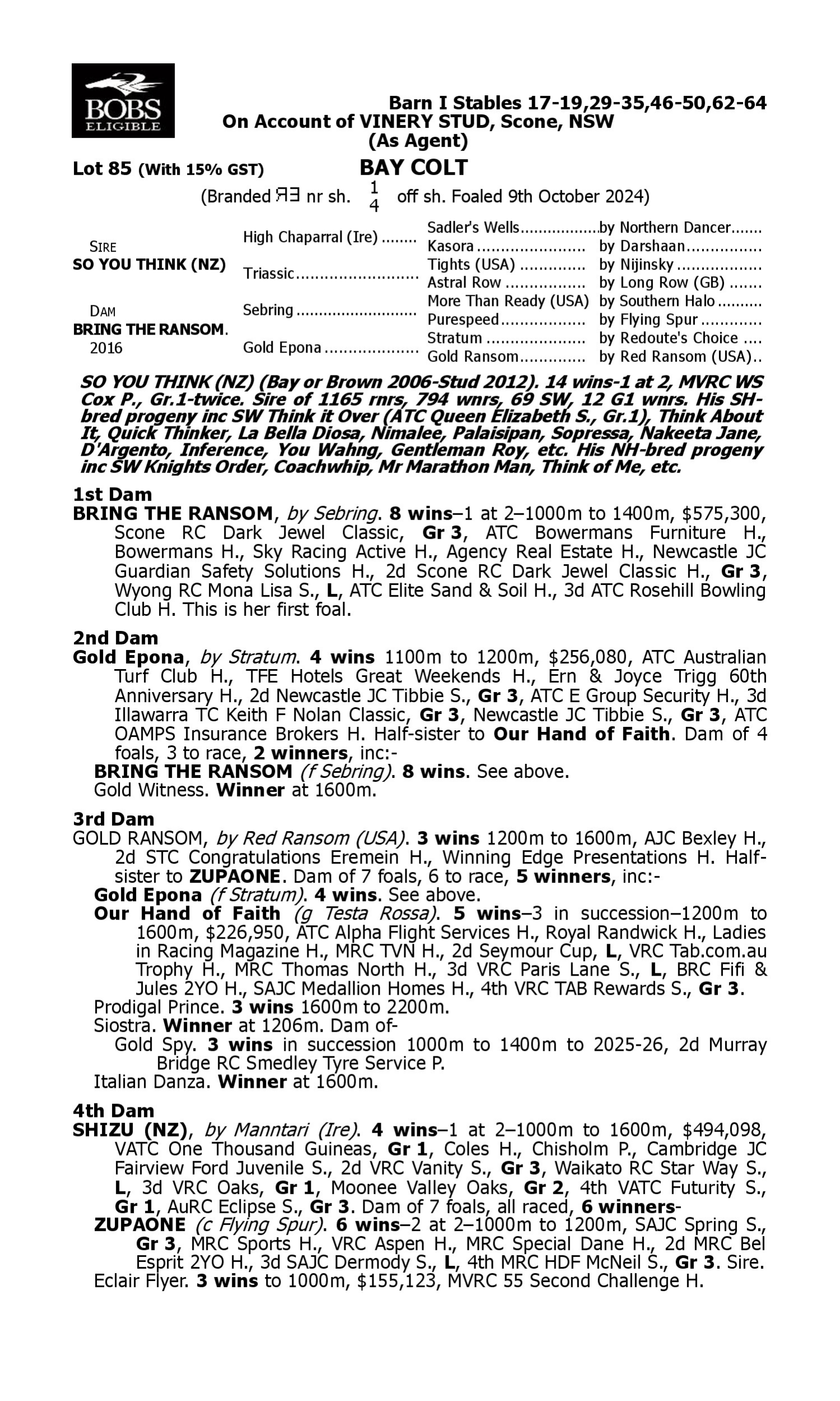 Pedigree for Lot 85 So You Think (NZ) - Bring the Ransom