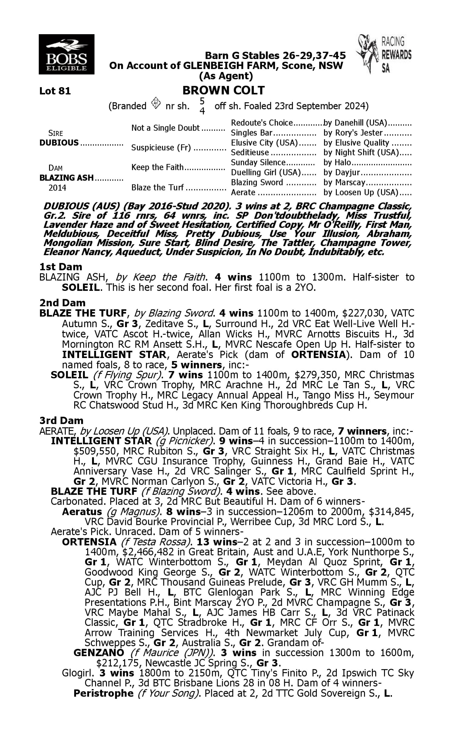 Pedigree for Lot 81 Dubious - Blazing Ash