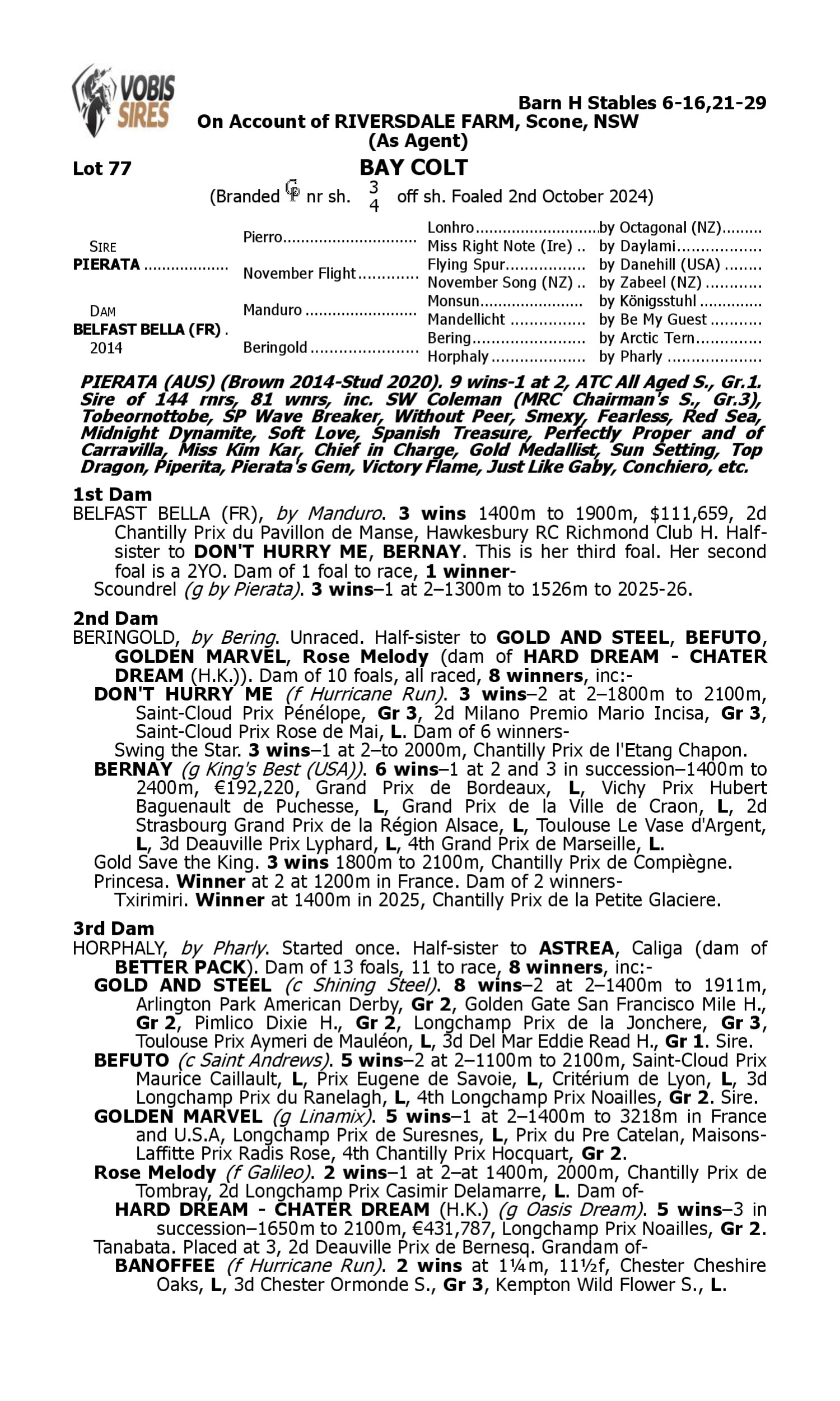 Pedigree for Lot 77 Pierata - Belfast Bella (FR)