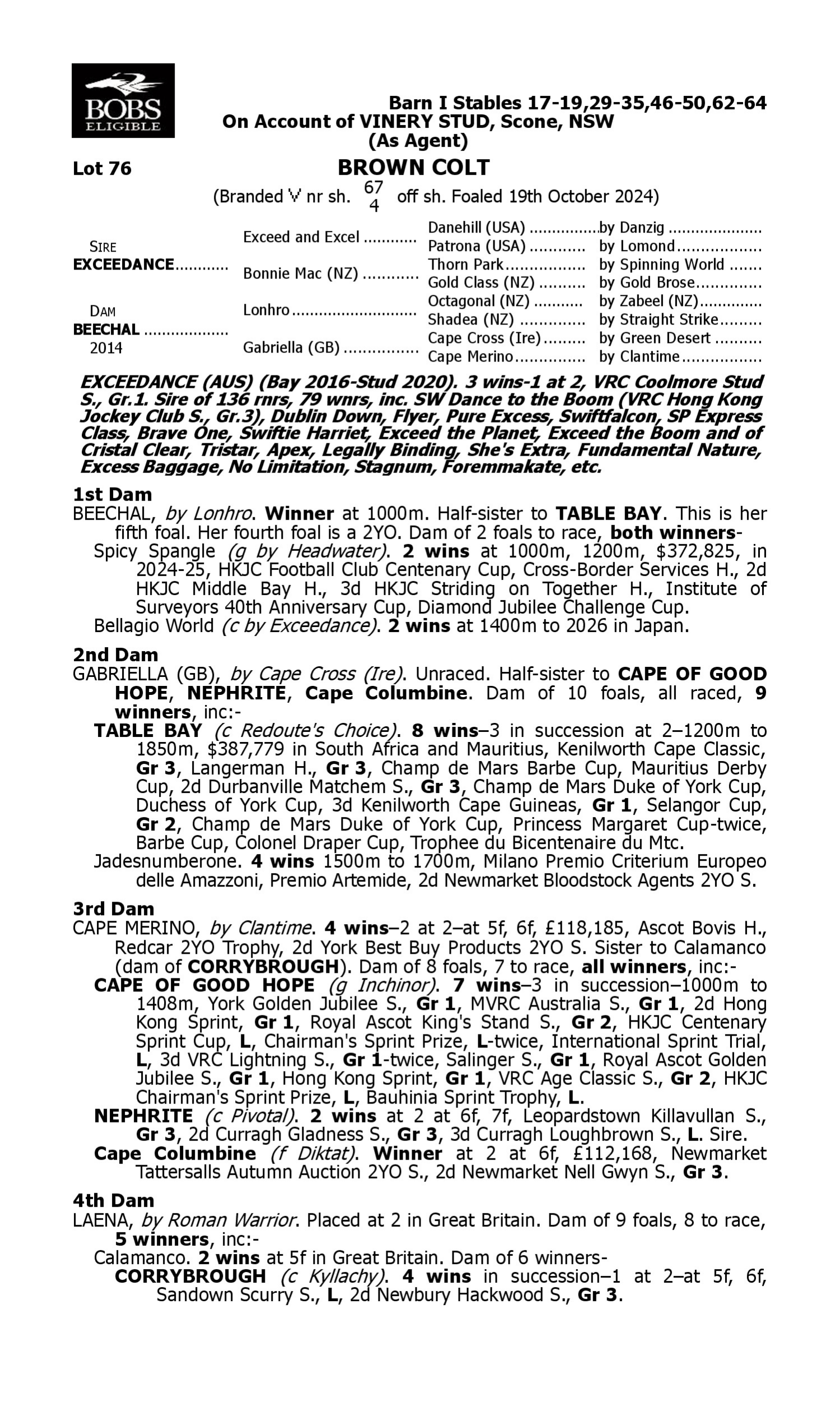 Pedigree for Lot 76 Exceedance - Beechal