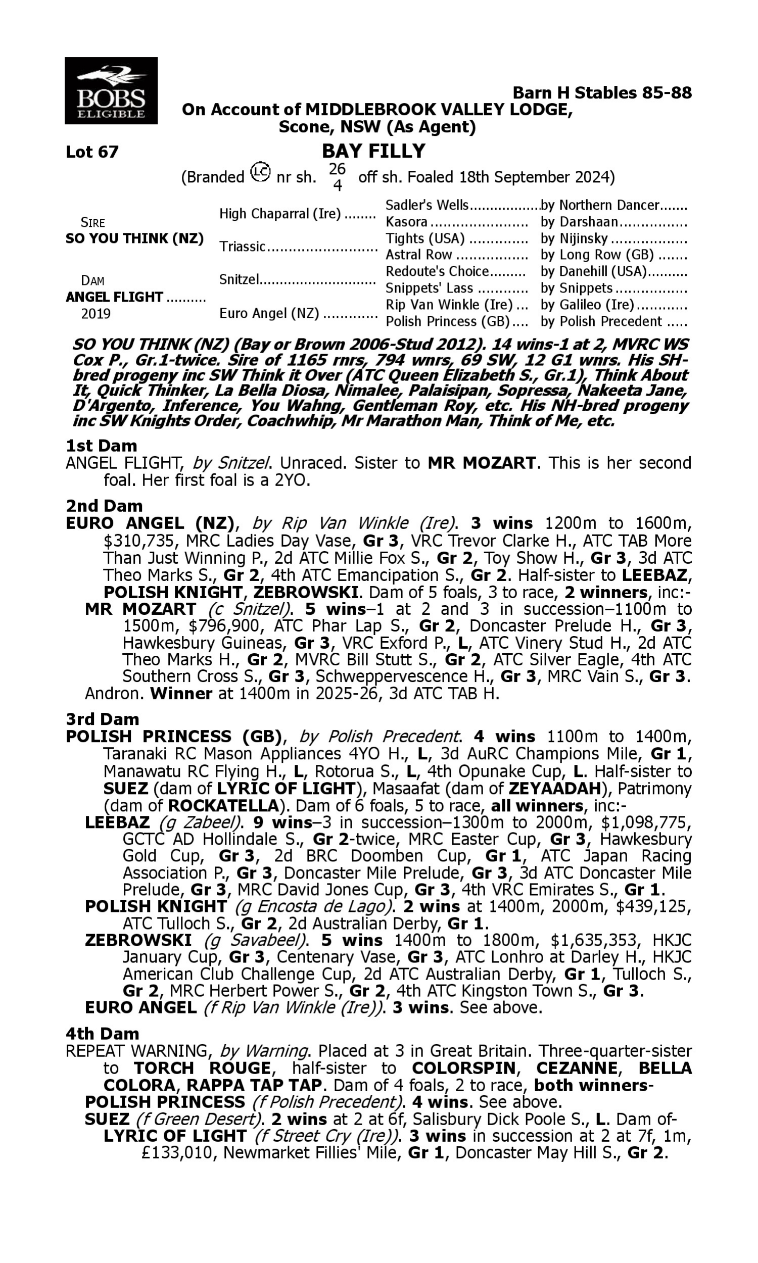 Pedigree for Lot 67 So You Think (NZ) - Angel Flight