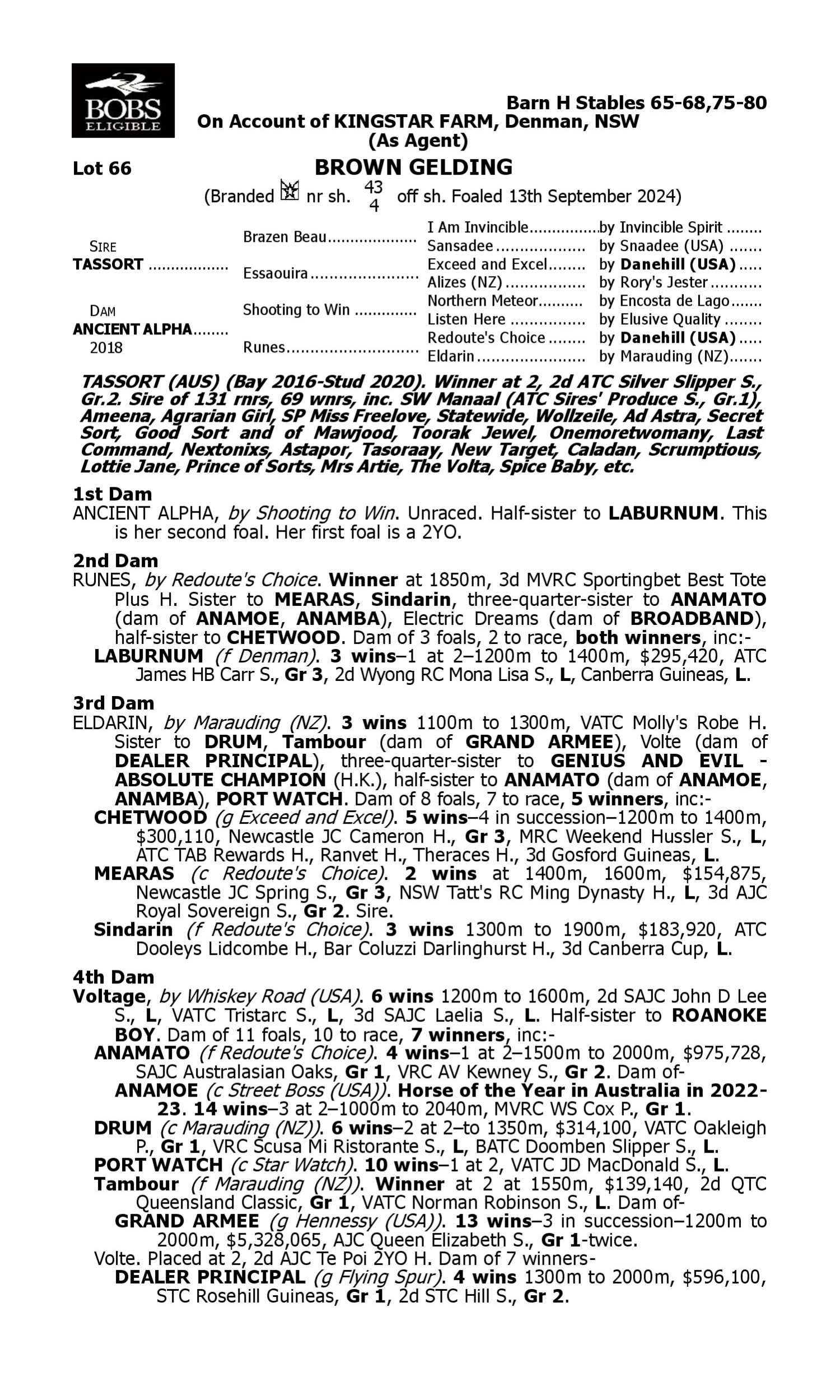 Pedigree for Lot 66 Tassort - Ancient Alpha