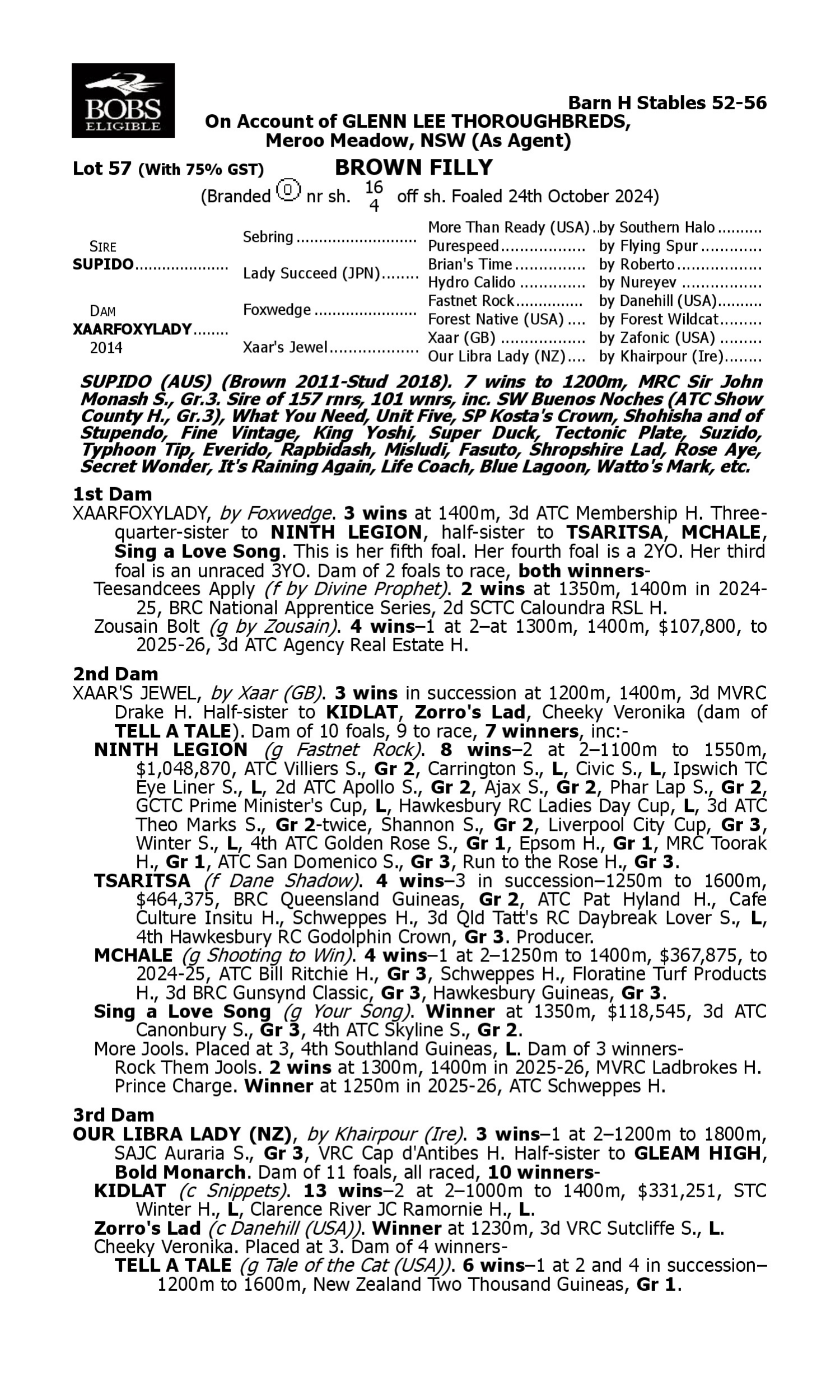 Pedigree for Lot 57 Supido - Xaarfoxylady
