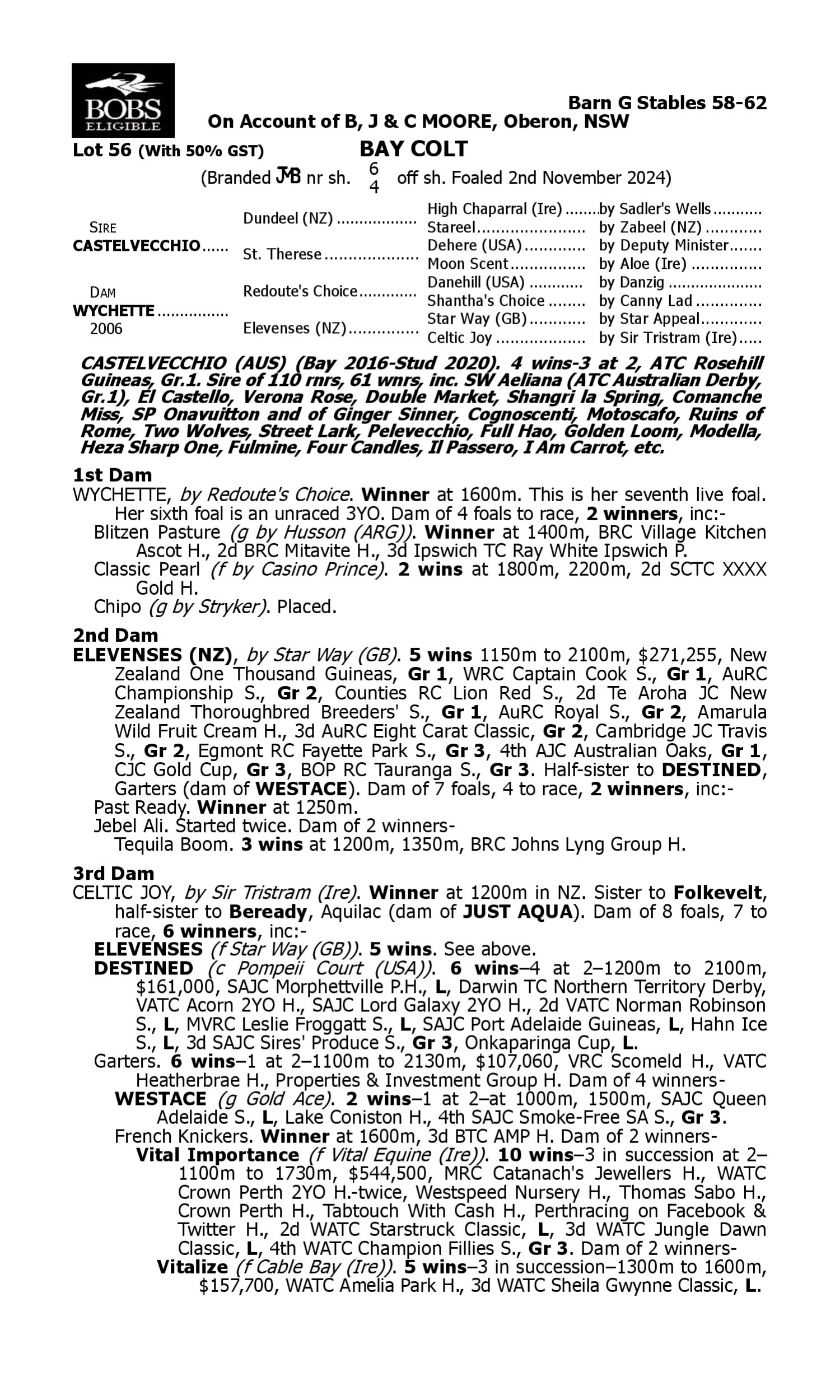 Pedigree for Lot 56 Castelvecchio - Wychette