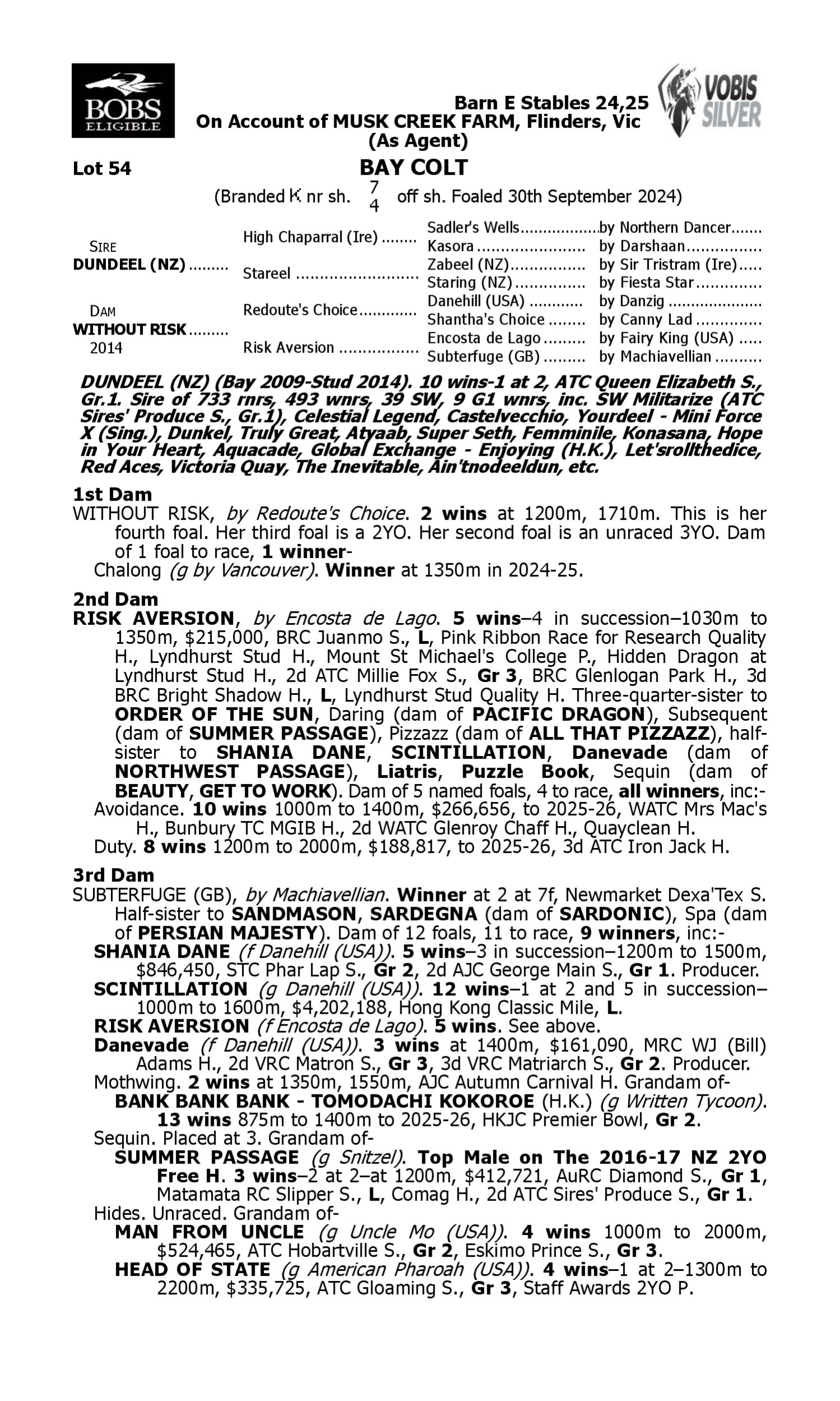 Pedigree for Lot 54 Dundeel (NZ) - Without Risk