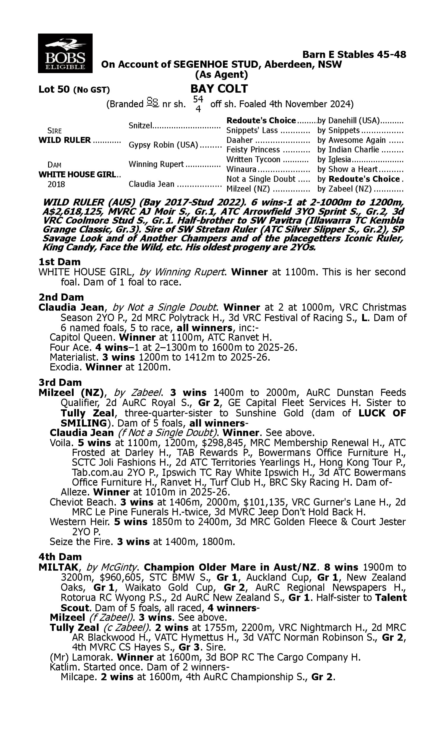 Pedigree for Lot 50 Wild Ruler - White House Girl