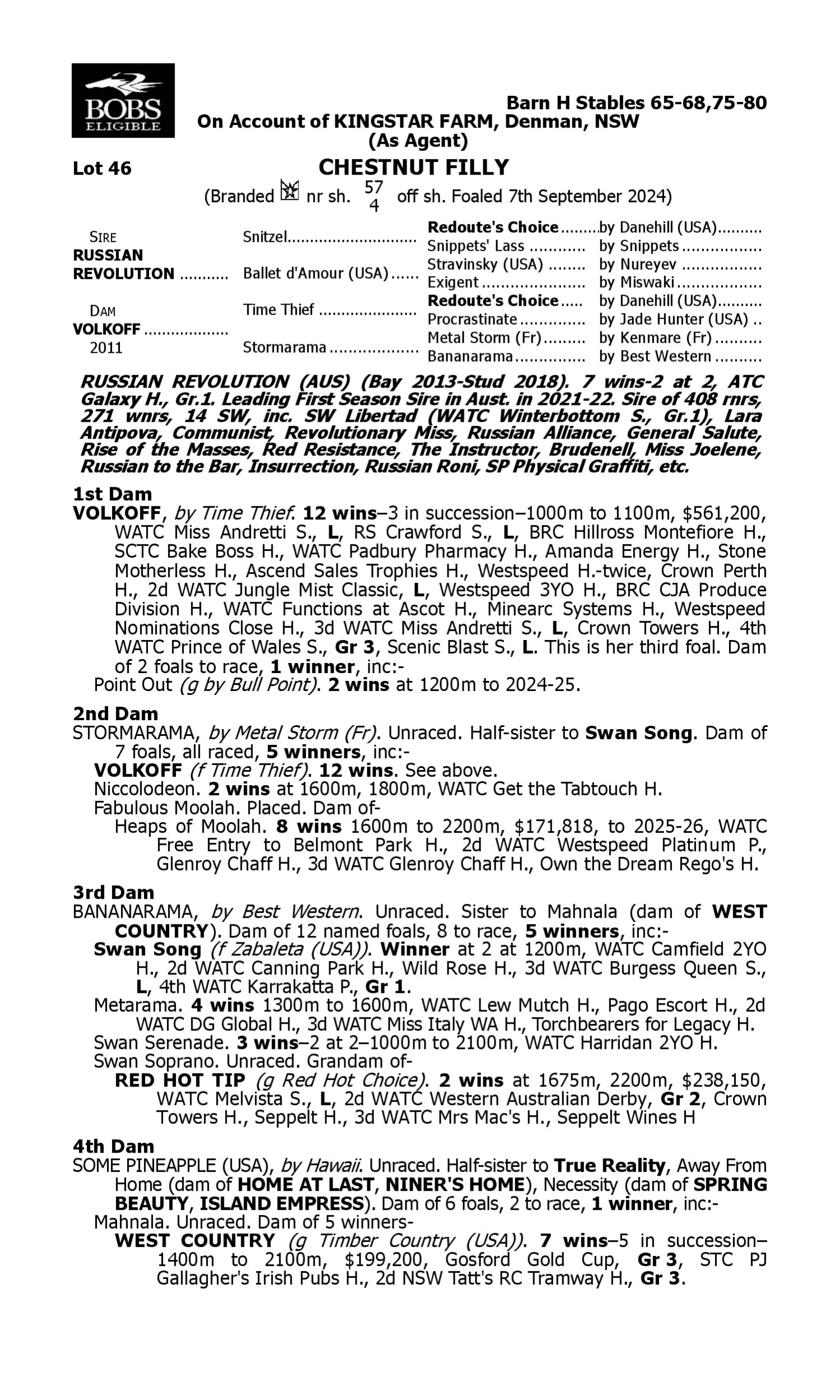 Pedigree for Lot 46 Russian Revolution - Volkoff